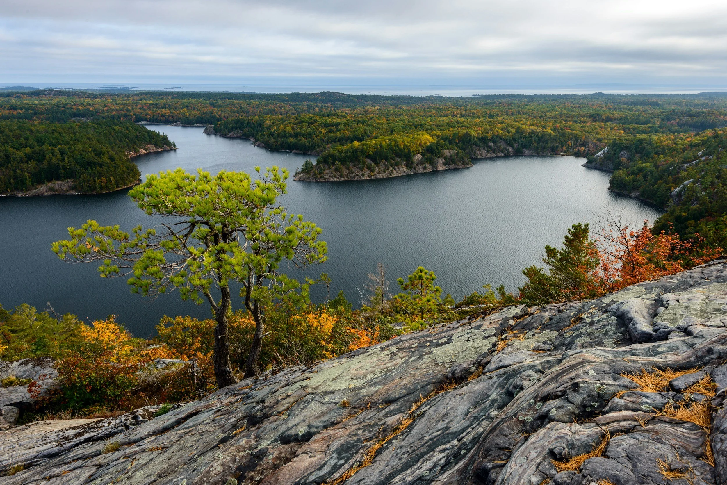 A scenic view of an Ontario lake surrounded by dense forest with trees displaying fall colours.