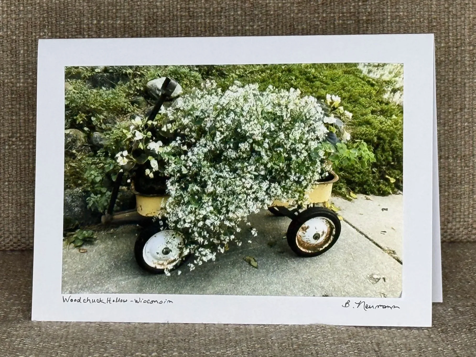 A printed photograph showing a yellow wagon filled with white flowering plants, positioned outdoors on concrete, with greenery in the background, and the photo is mounted on a white cardboard with handwritten text and signature underneath.