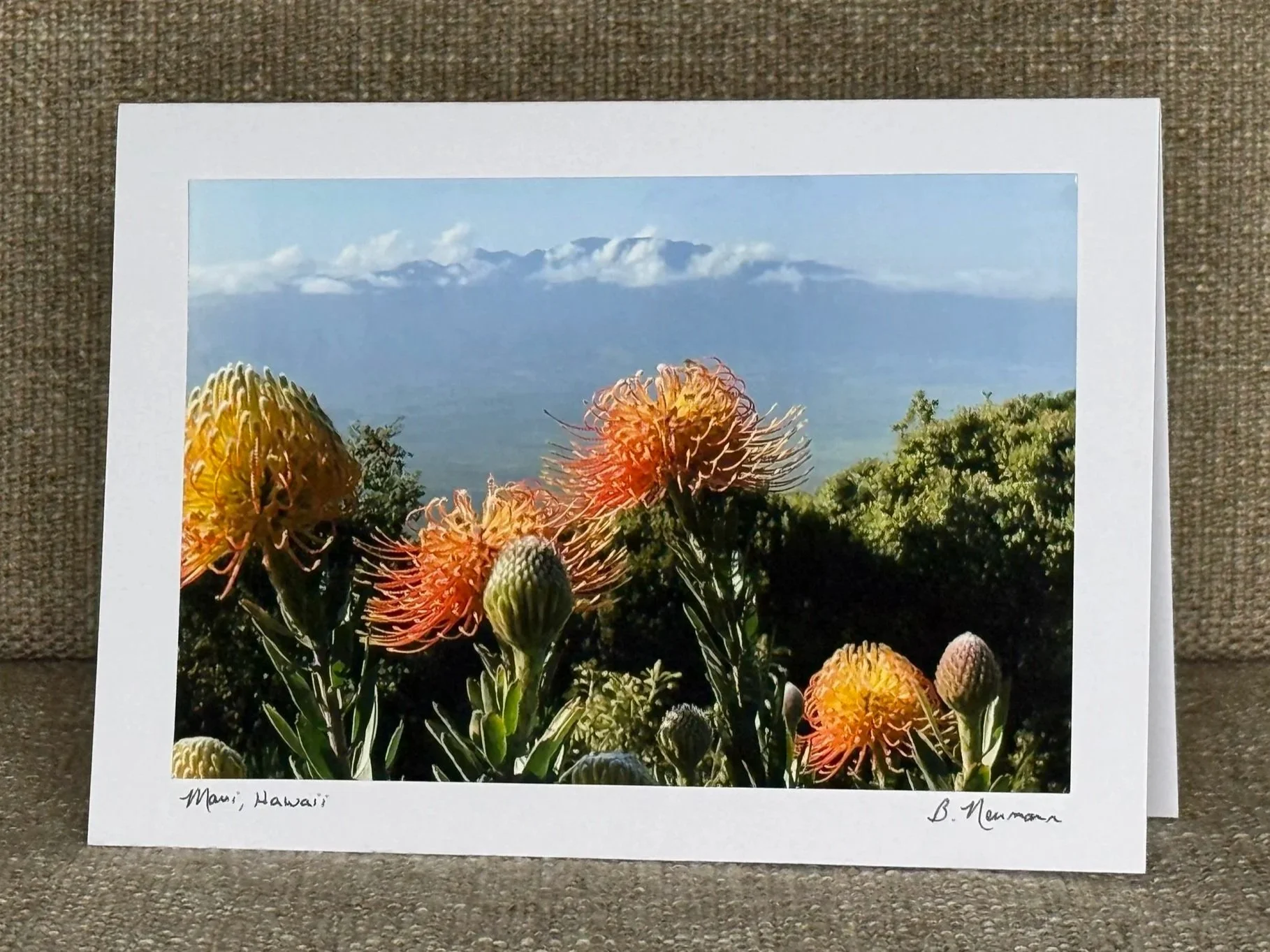 Photograph of orange and yellow tropical flowers with green foliage, mountain landscape, and cloudy sky in the background, labeled 'Maui, Hawaii' and signed by B. Neumann.