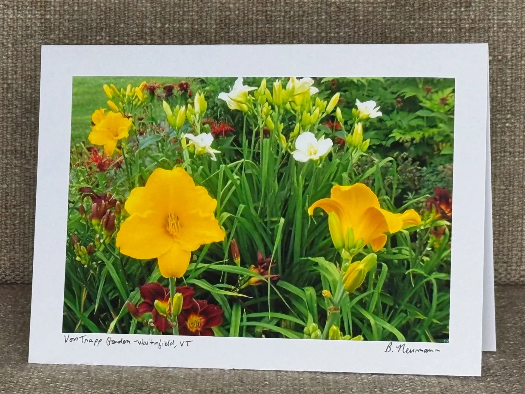 Color photograph of a garden with yellow and white lilies, and reddish-brown flowers, on green foliage, framed with a white border on a textured surface. Handwritten text at the bottom reads: "Von Trapp Garden-Waitfield, VT" and a signature "B. Newma