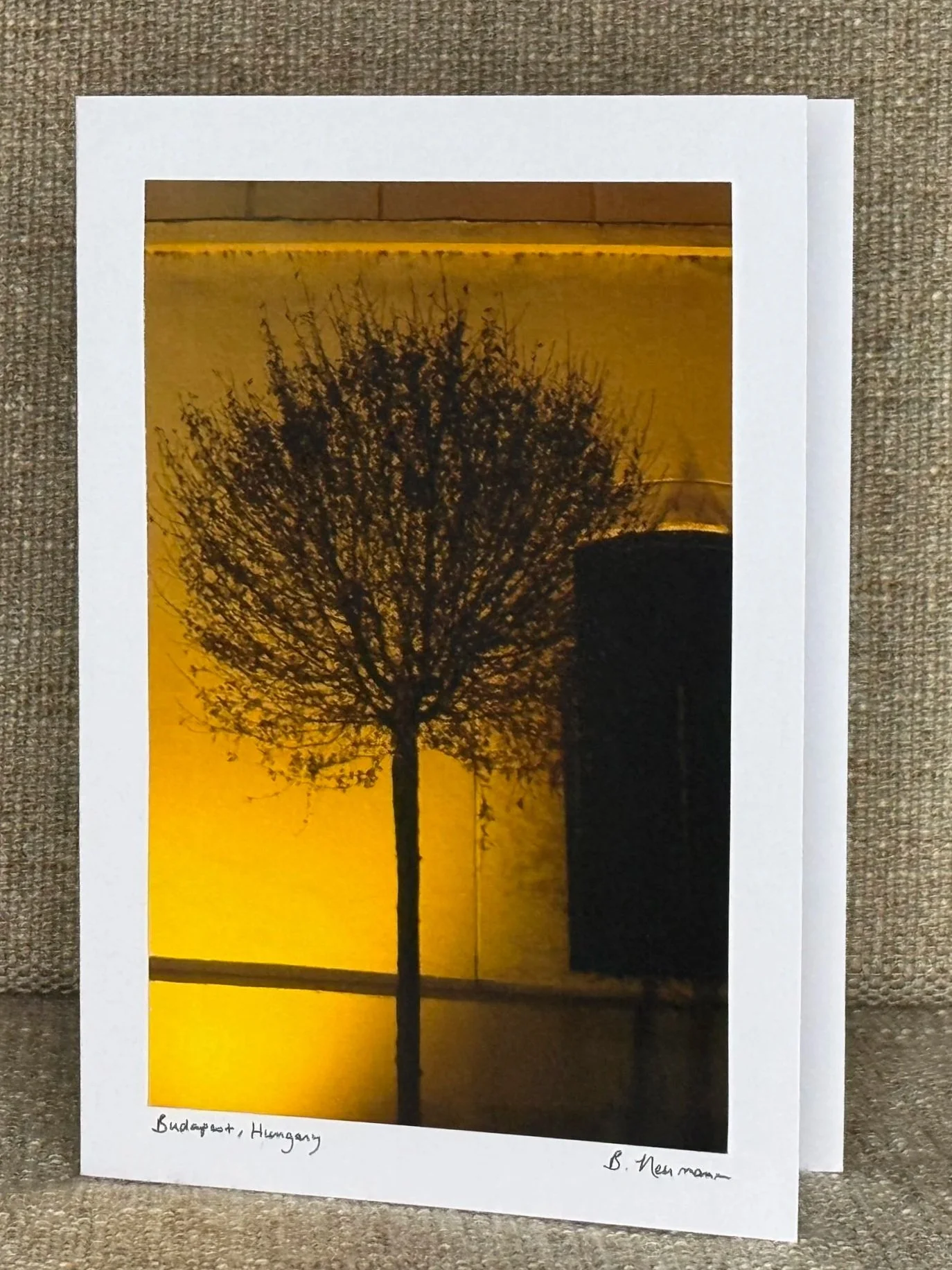 A photograph of a tree silhouetted against a golden sunset sky, with a building and a street in the background. Handwritten notes say 'Budapest, Hungary' and 'B. Newman'.