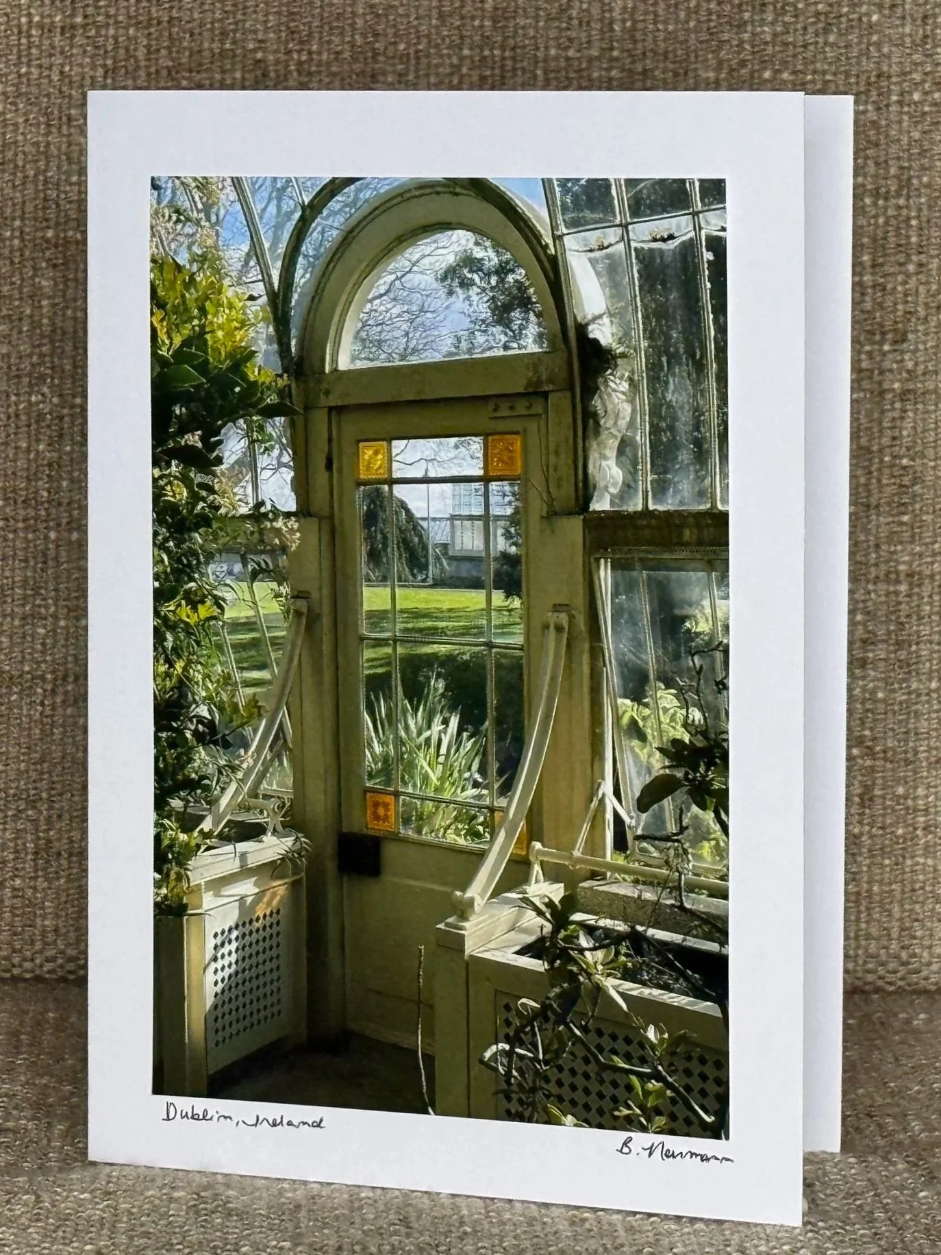 Photo of a paper print of a photograph showing an indoor garden with a window and arched door, framed by plants and greenery, with a view of a lawn and trees outside, titled 'Dublin, Ireland' by B. Norman.