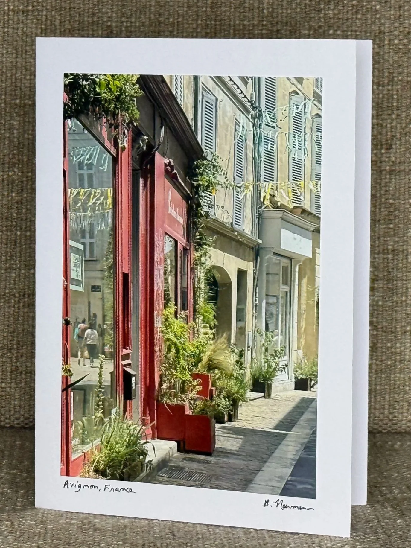 Painting of a street scene in Avignon, France, showing a building with blue shutters and a red storefront. Potted plants and a cobblestone sidewalk are visible.