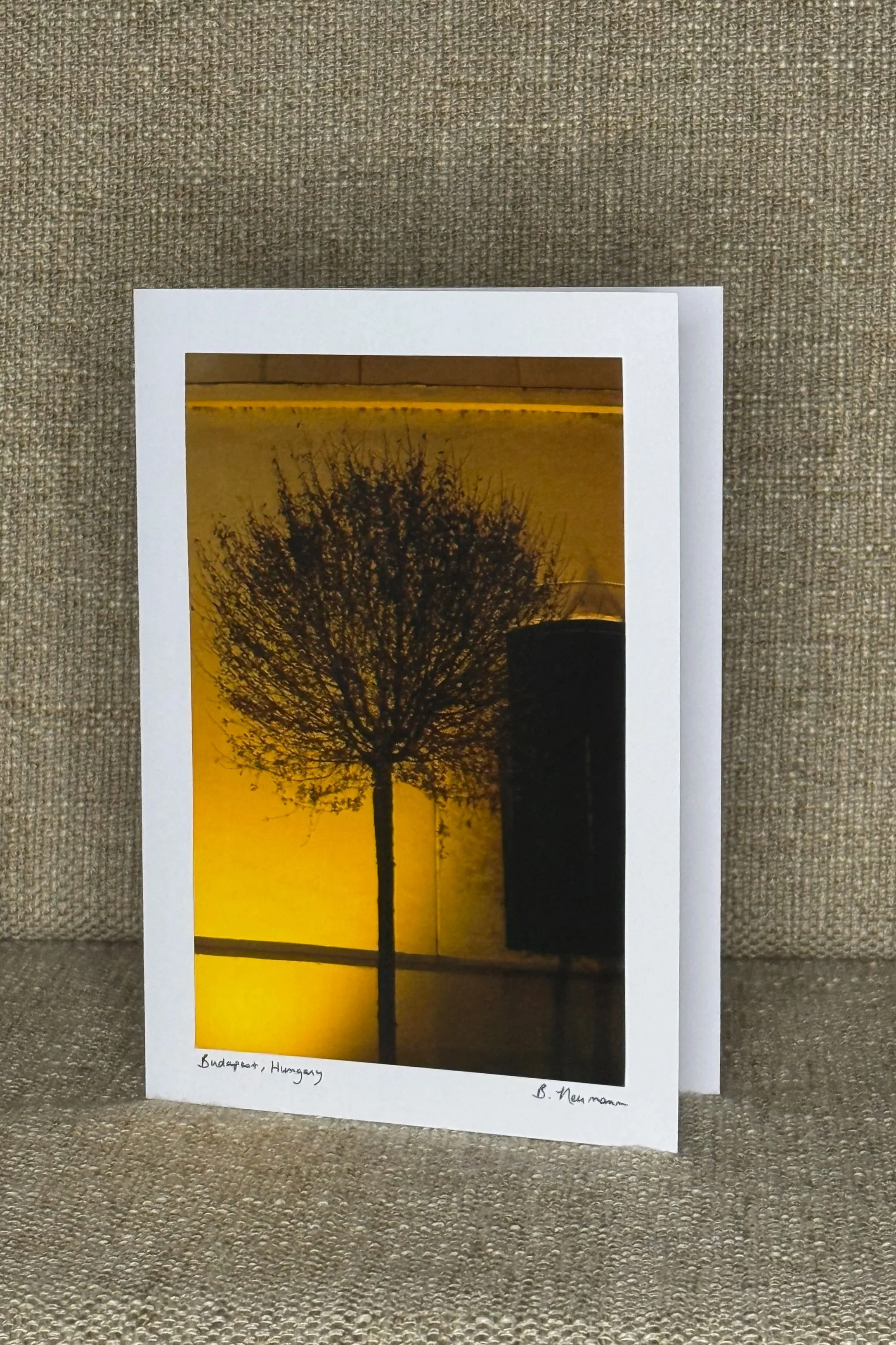 A printed photograph of a tree silhouette against a yellow-orange sunset or sunrise, taped to a wall with a textured, grayish fabric surface. The bottom of the photo has handwritten text that reads "Budapest, Hungary" and an artist's signature.