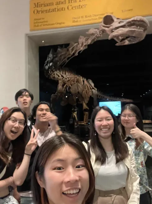 mt_3.webp