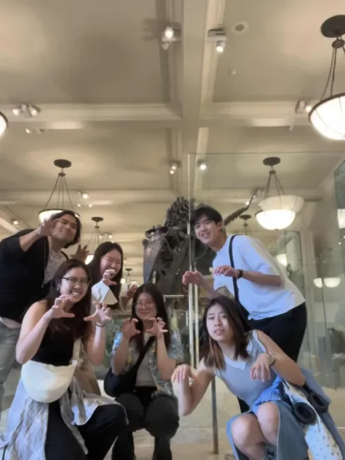 mt_1.webp