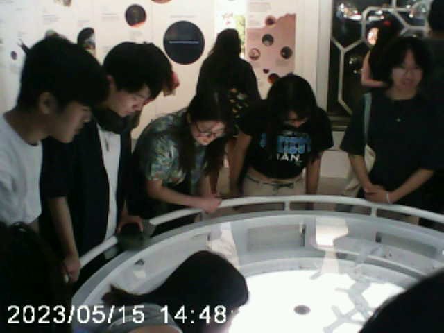 PICT0727.jpg