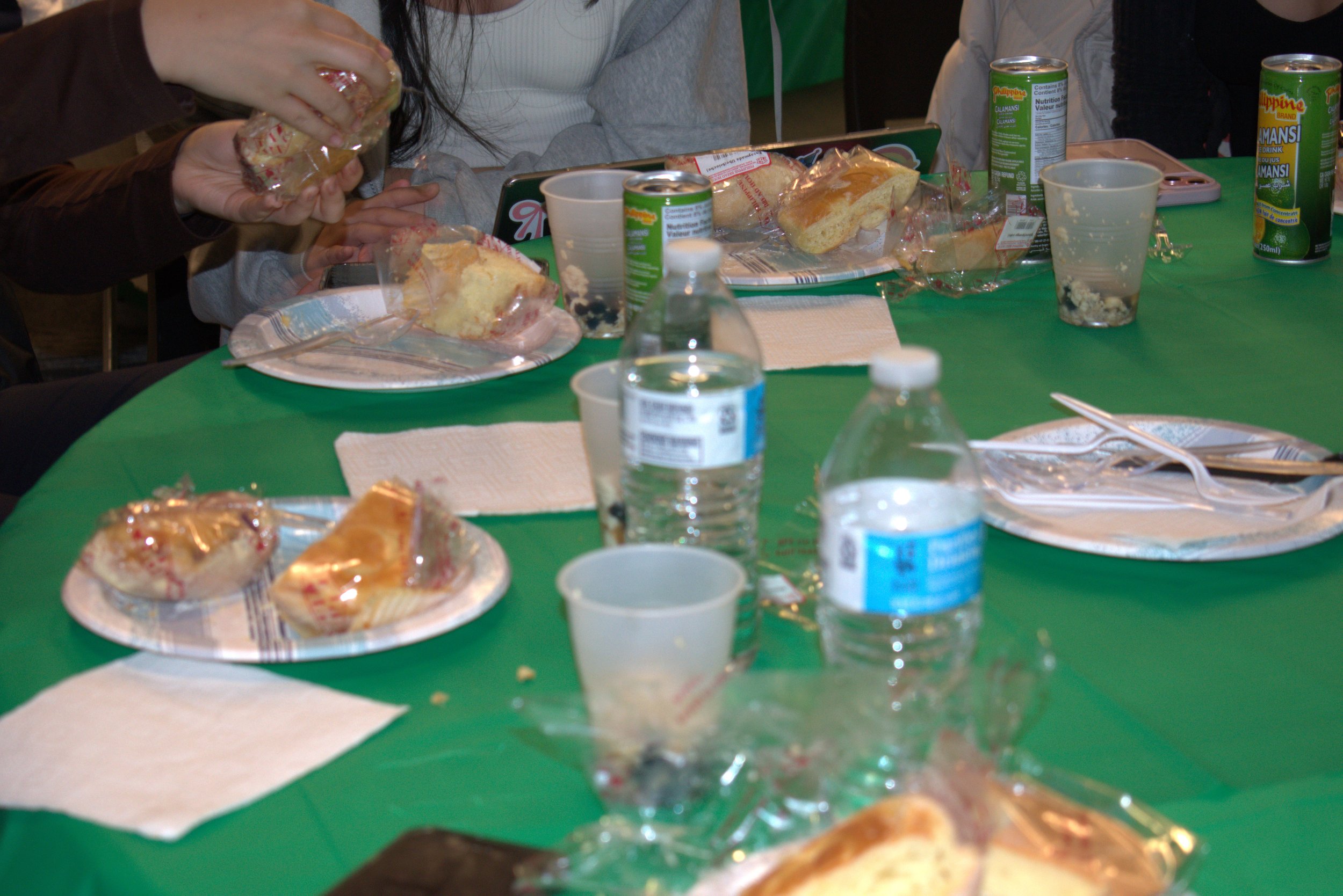 _DSC2113.jpeg