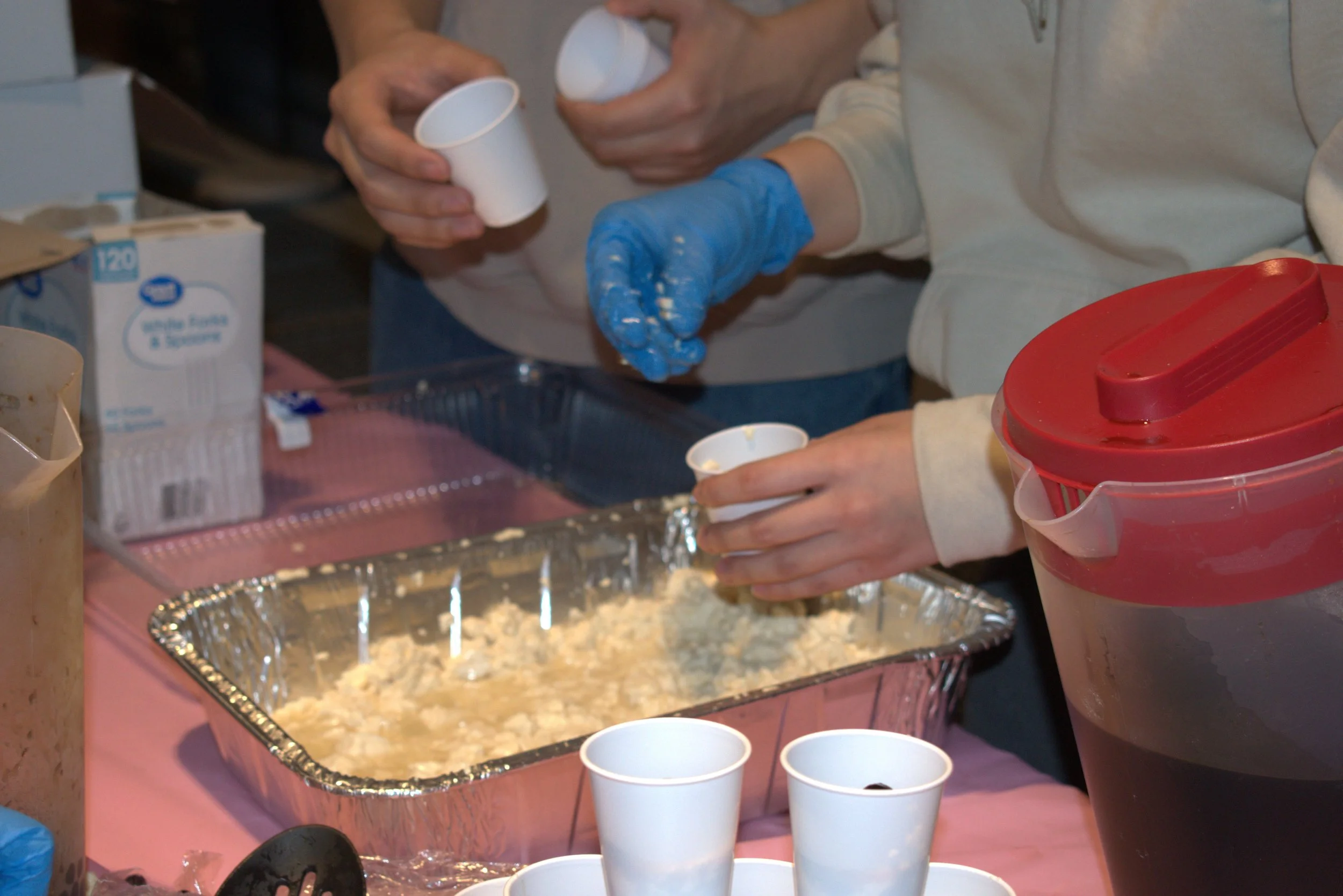 _DSC2106.jpeg