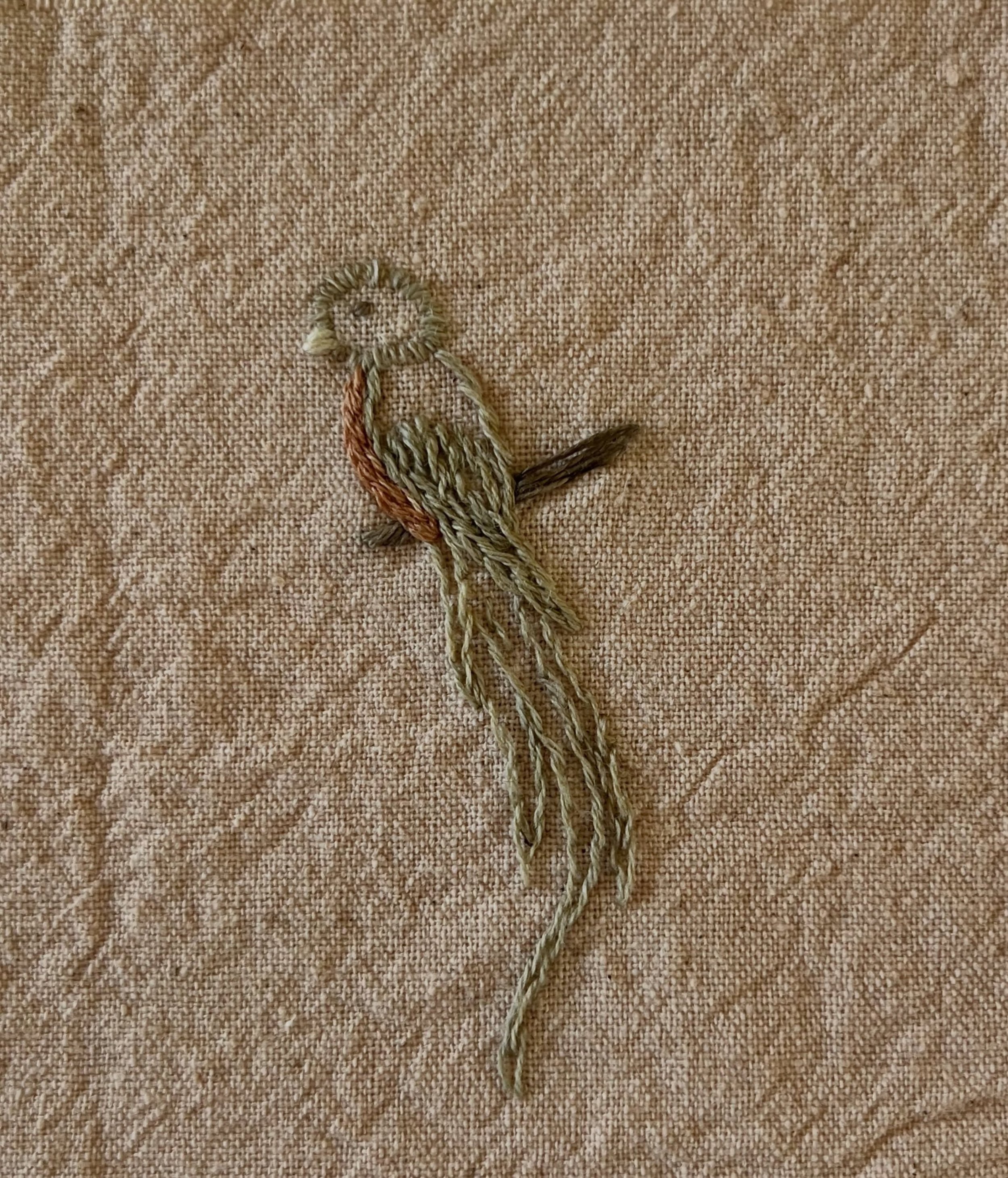 Quetzal miniatura del encuentro del @clubdelbordado con @benditas___manos 🧡 Nunca hab&iacute;a bordado pajaros y hacer este ejercicio con la gu&iacute;a de Pri me abri&oacute; un mundo nuevo. Bordar en colectivo suma tanto a c&oacute;mo se vive la p