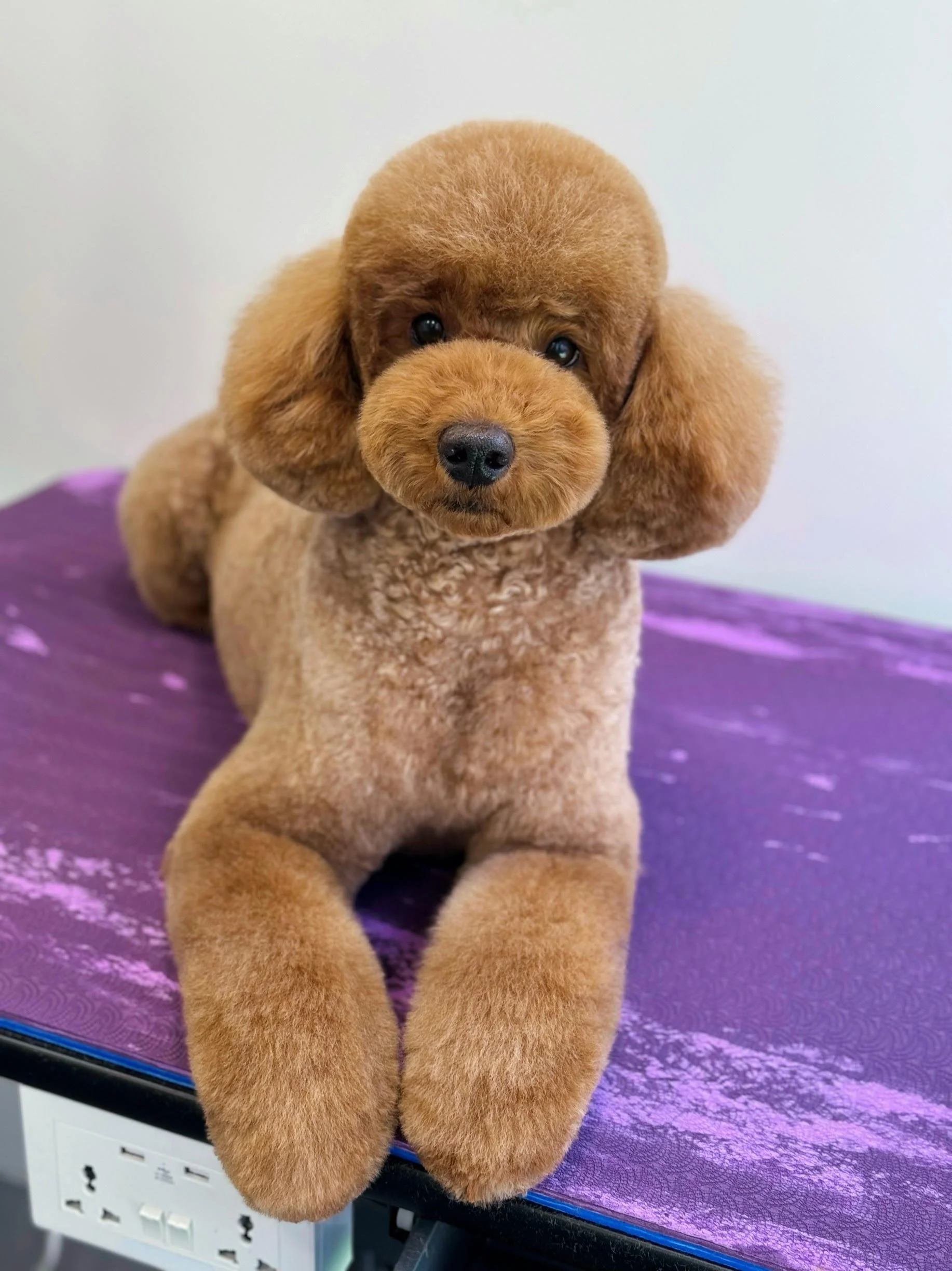 Linky's Pet Parlour About Us