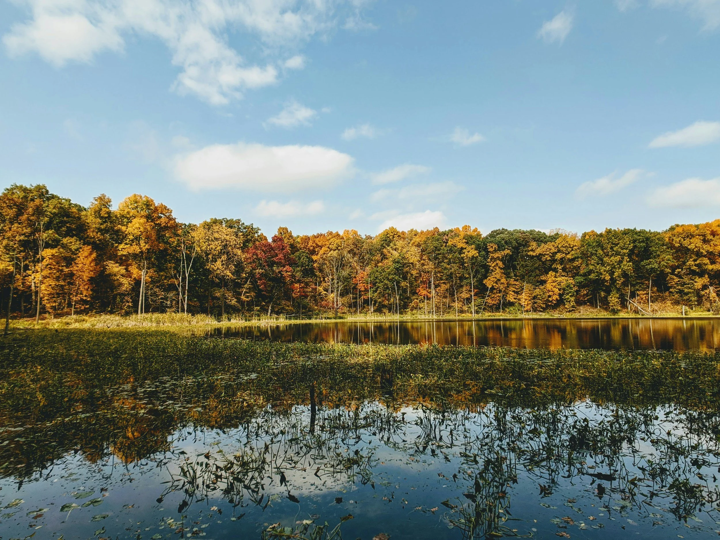 Stinesville, Indiana Real Estate: Why More Buyers Are Looking Past Bloomington for Space