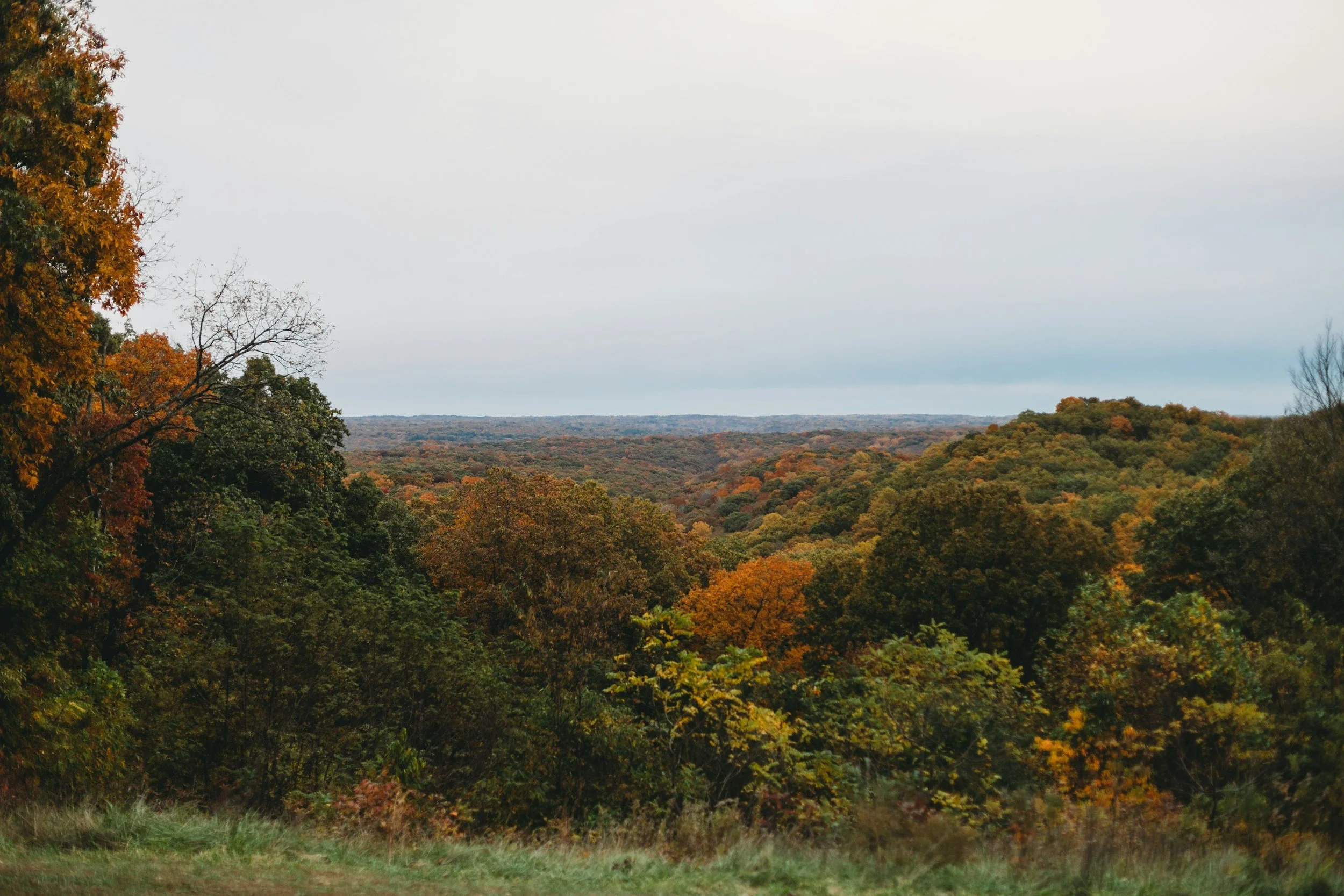 Why Nashville, Indiana Attracts Home Buyers Looking for Charm and Nature
