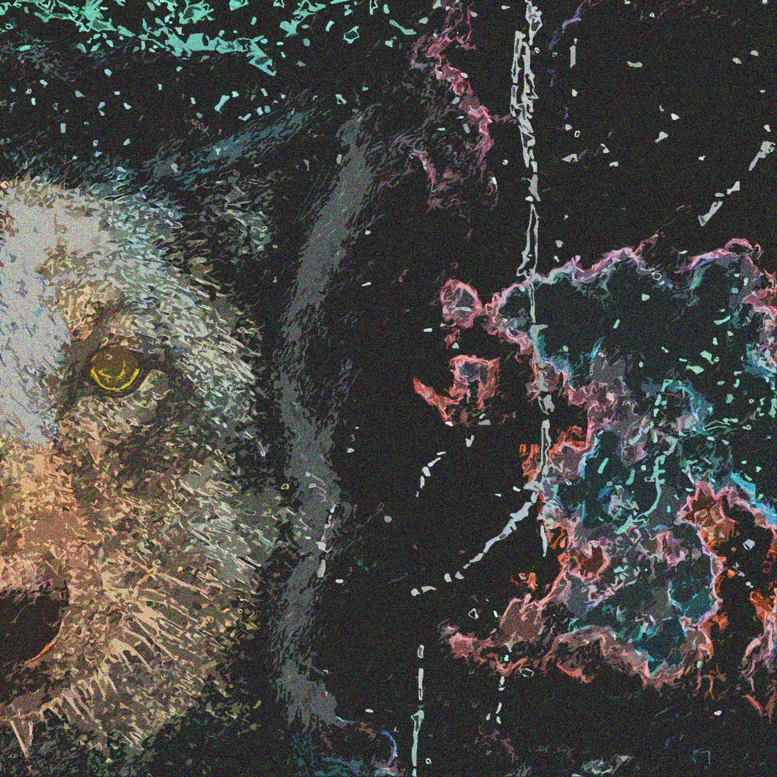 Lone Wolf.jpg
