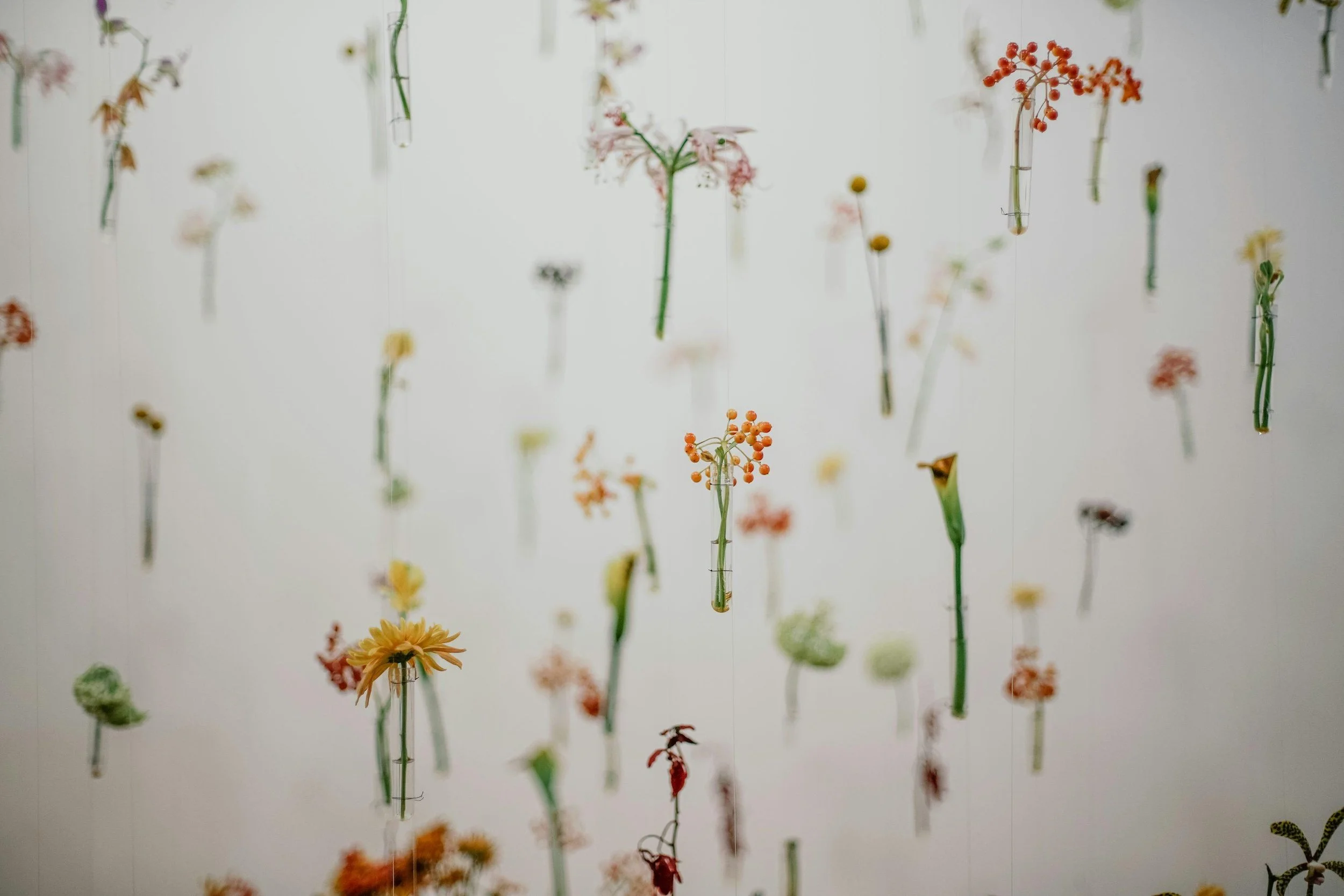 CUANDO LAS FLORES SE VUELVEN ARQUITECTURA