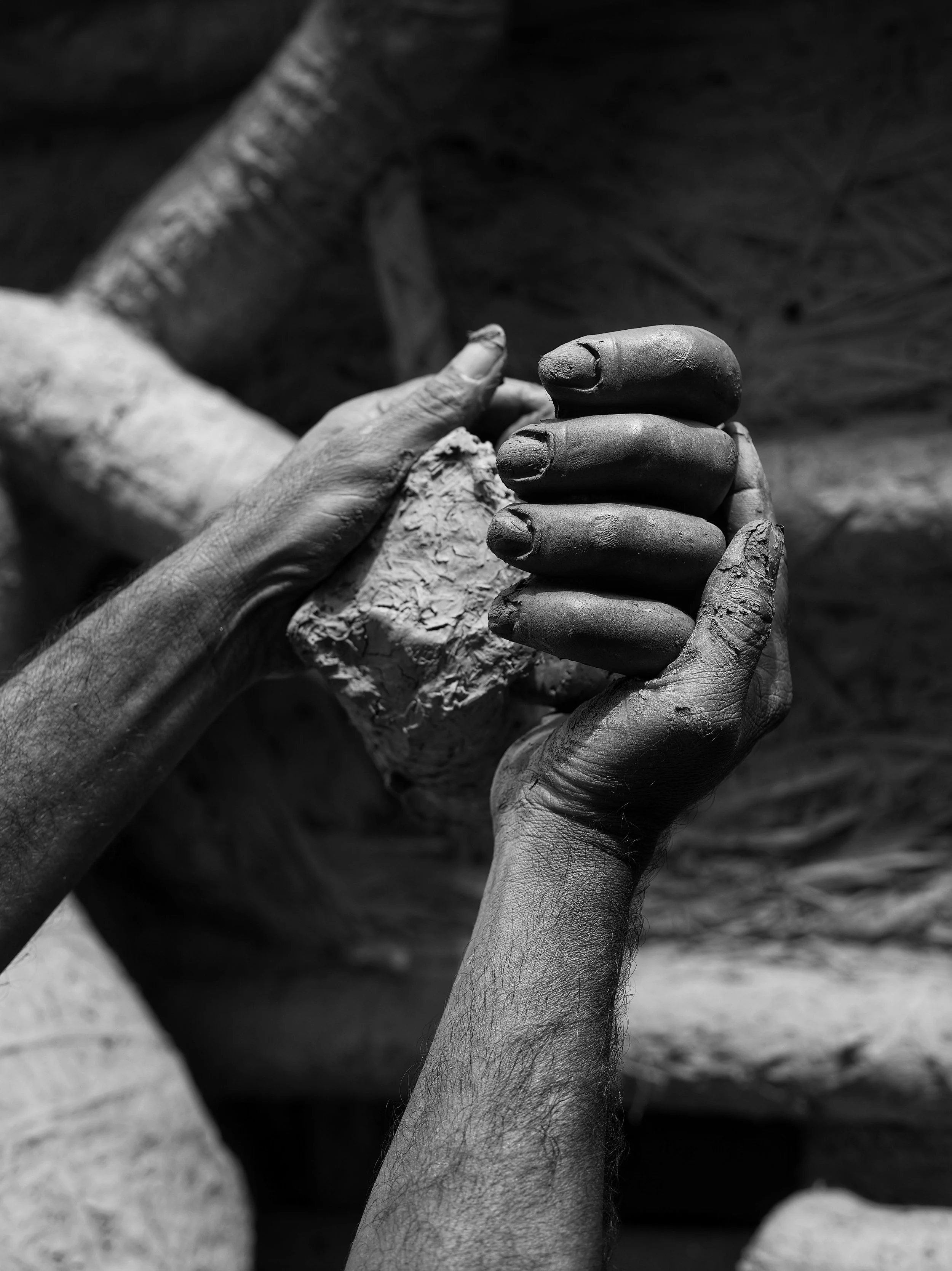 LA MATERIA TIENE MEMORIA