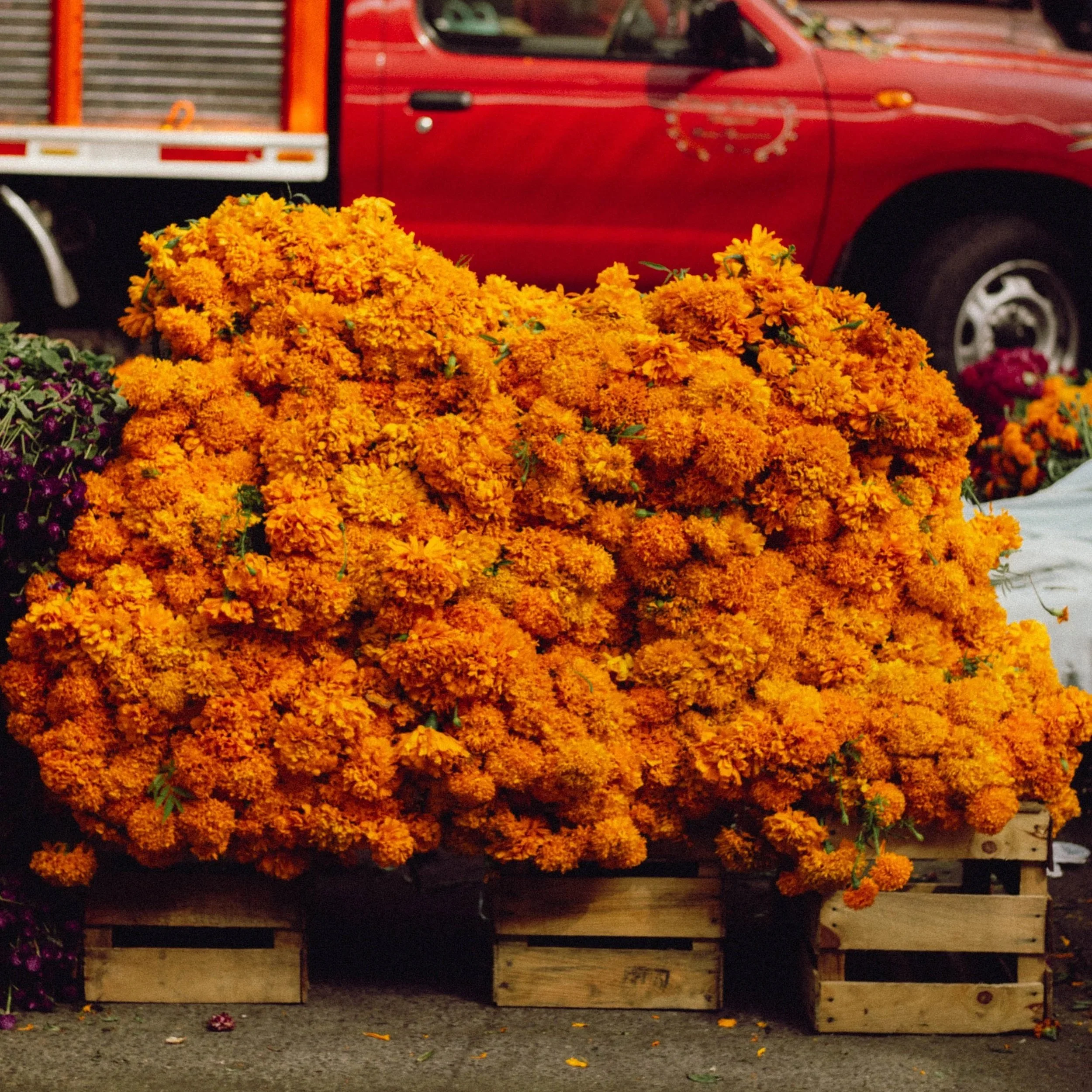 SEASONAL