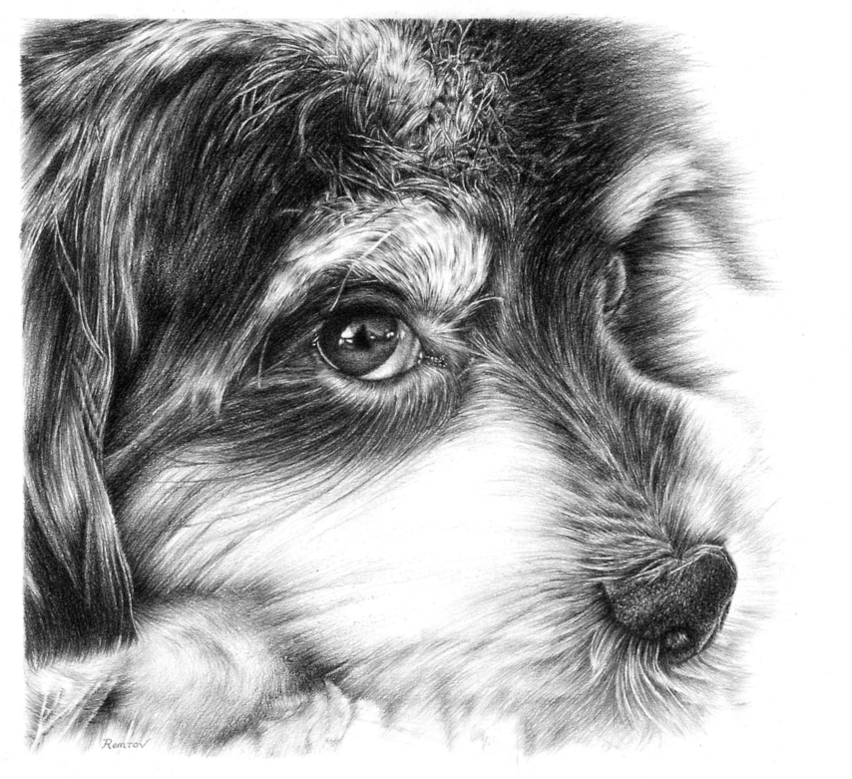 Doggie.jpg