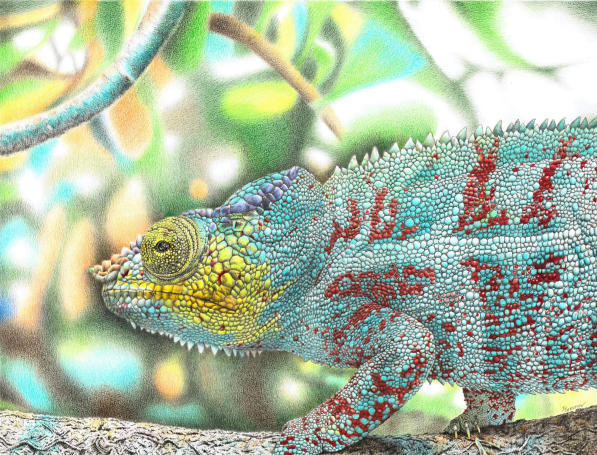 Chameleon for Calendar.jpg
