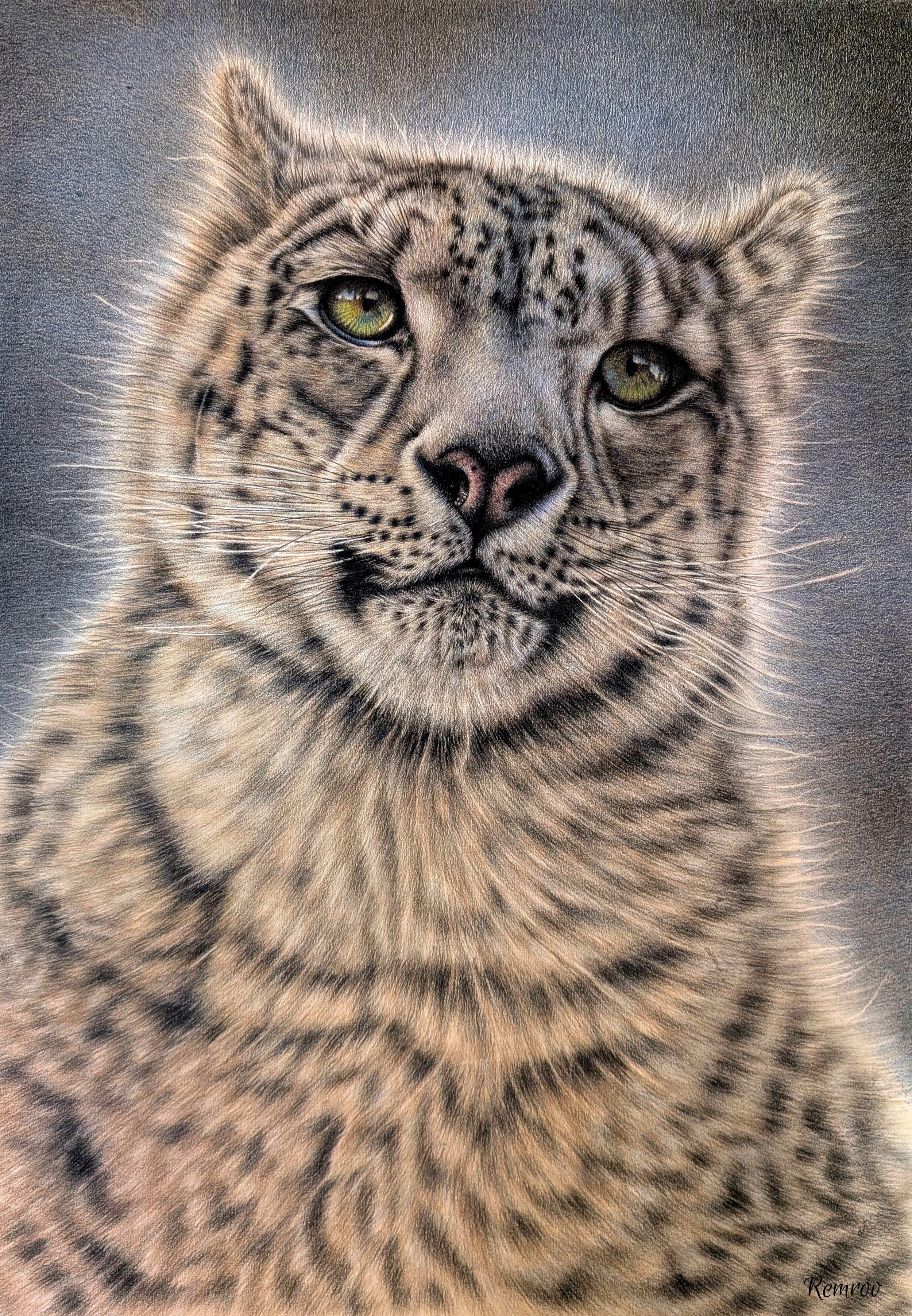 Snow Leopard 7 copy.jpg