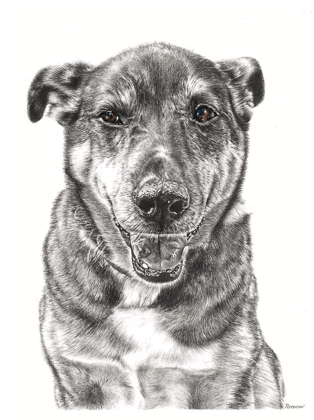 Dog.jpg