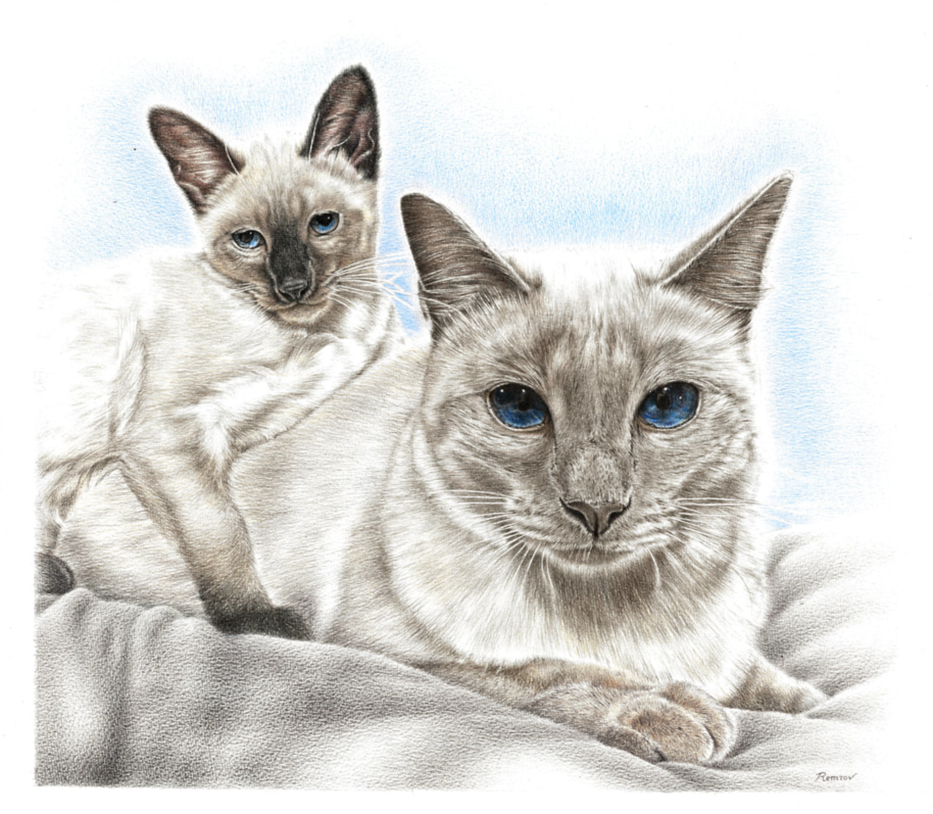 Siamese Cats.jpg