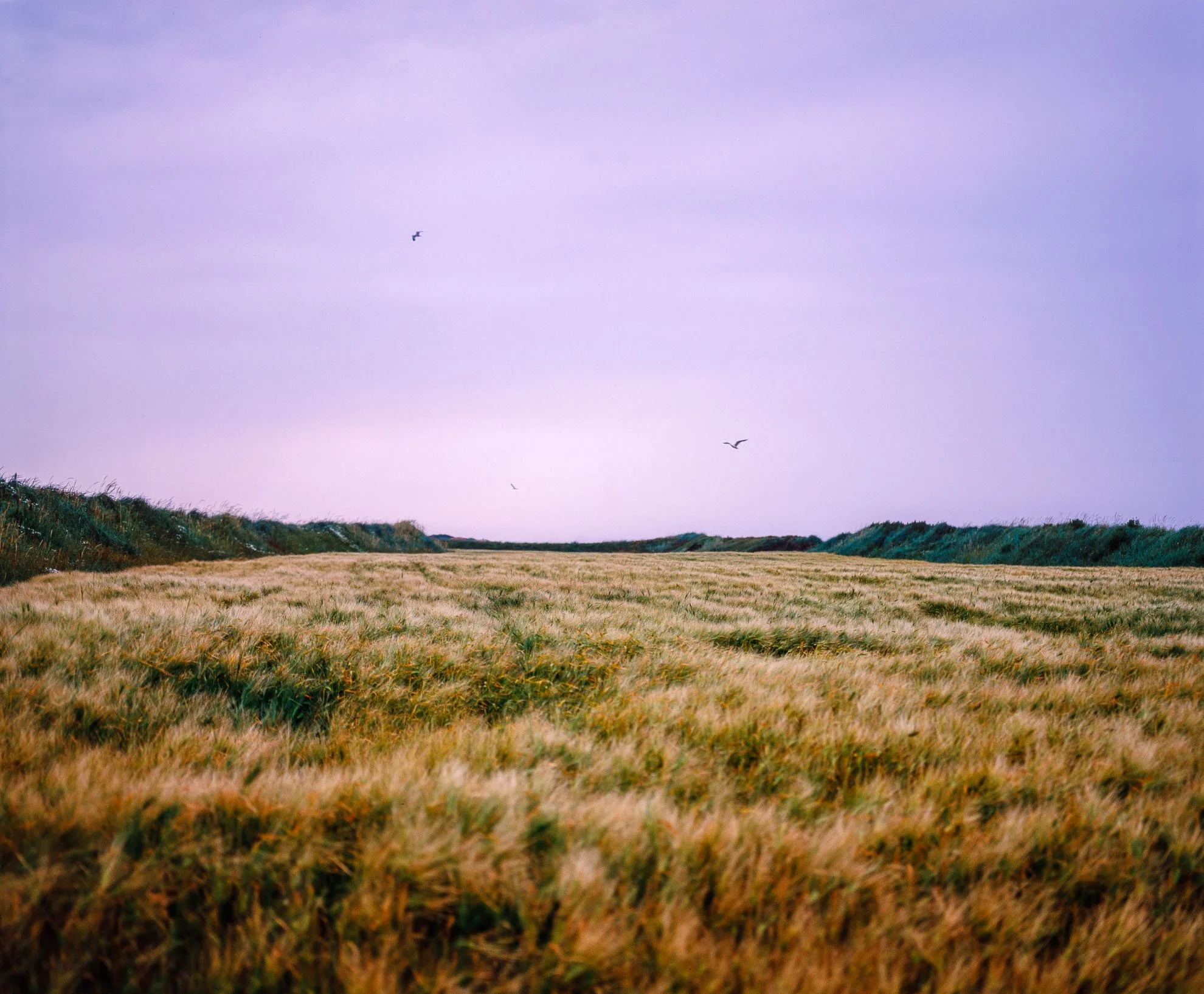 Jæren 1992 - Mamyia RB67, Fuji Velvia 50