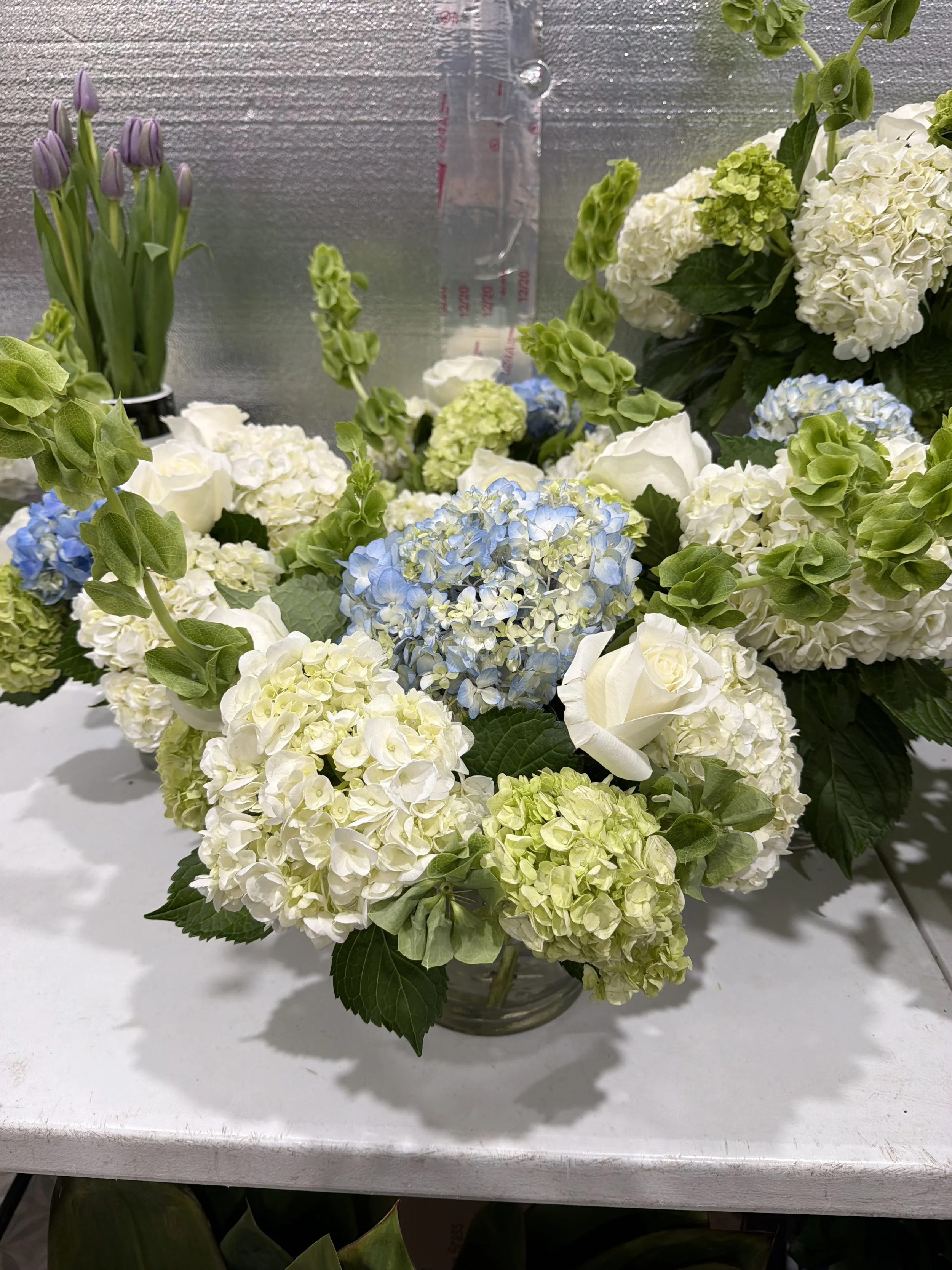 IMG_1386.jpeg