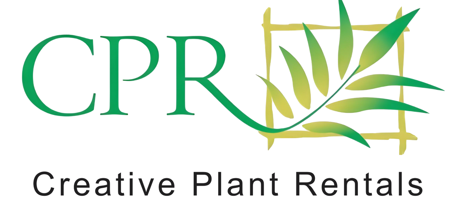 Creative Plant Rentals (Copy)