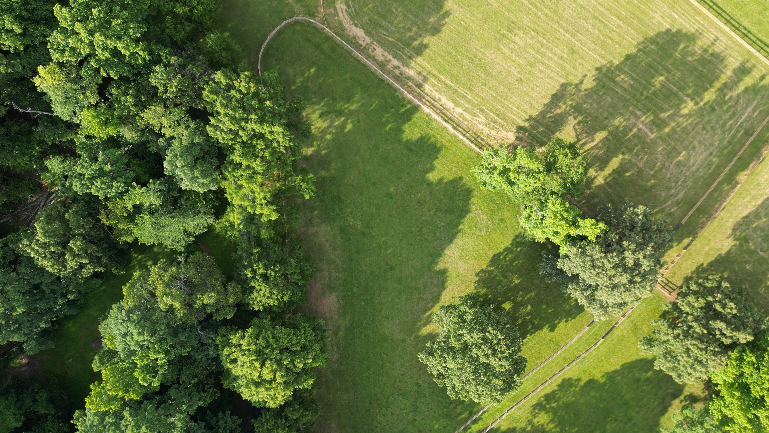 Aerial view of a grassy field with surrounding trees and a fence in the top right corner.