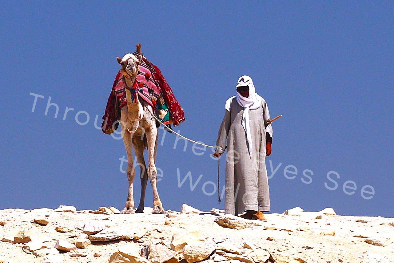 Egyptian Man and His Camel