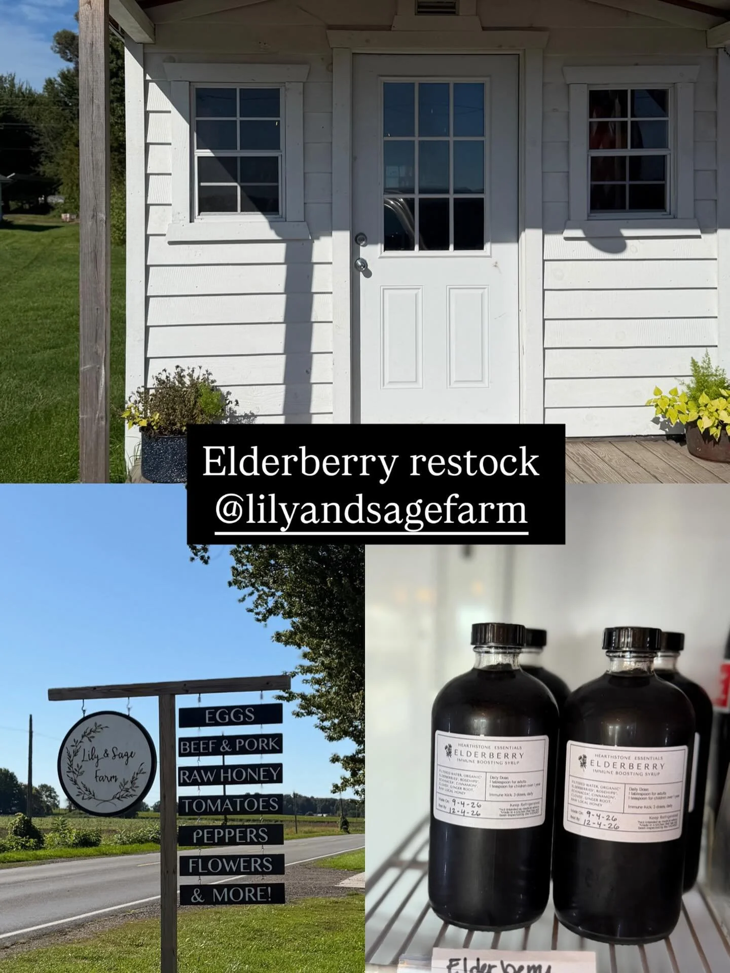 #byroncenter #localfarmstand #supportlocal #elderberrysyrup #immunesupport