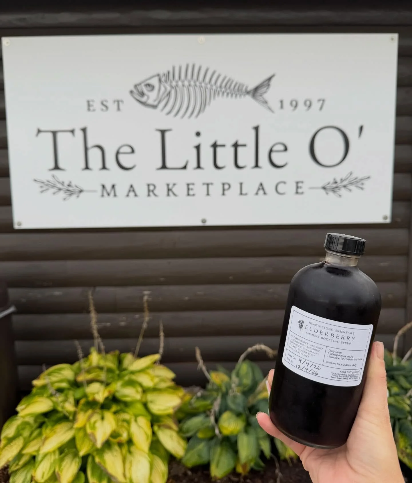 Fresh Elderberry Syrup restock @littleomarketplace in Caledonia! They&rsquo;ve got the cutest storefront with all the best food for girls night and family gatherings. 
.
#littleomarketplace #bigosmokehouse #caledonia #immunesupport #winterwellness