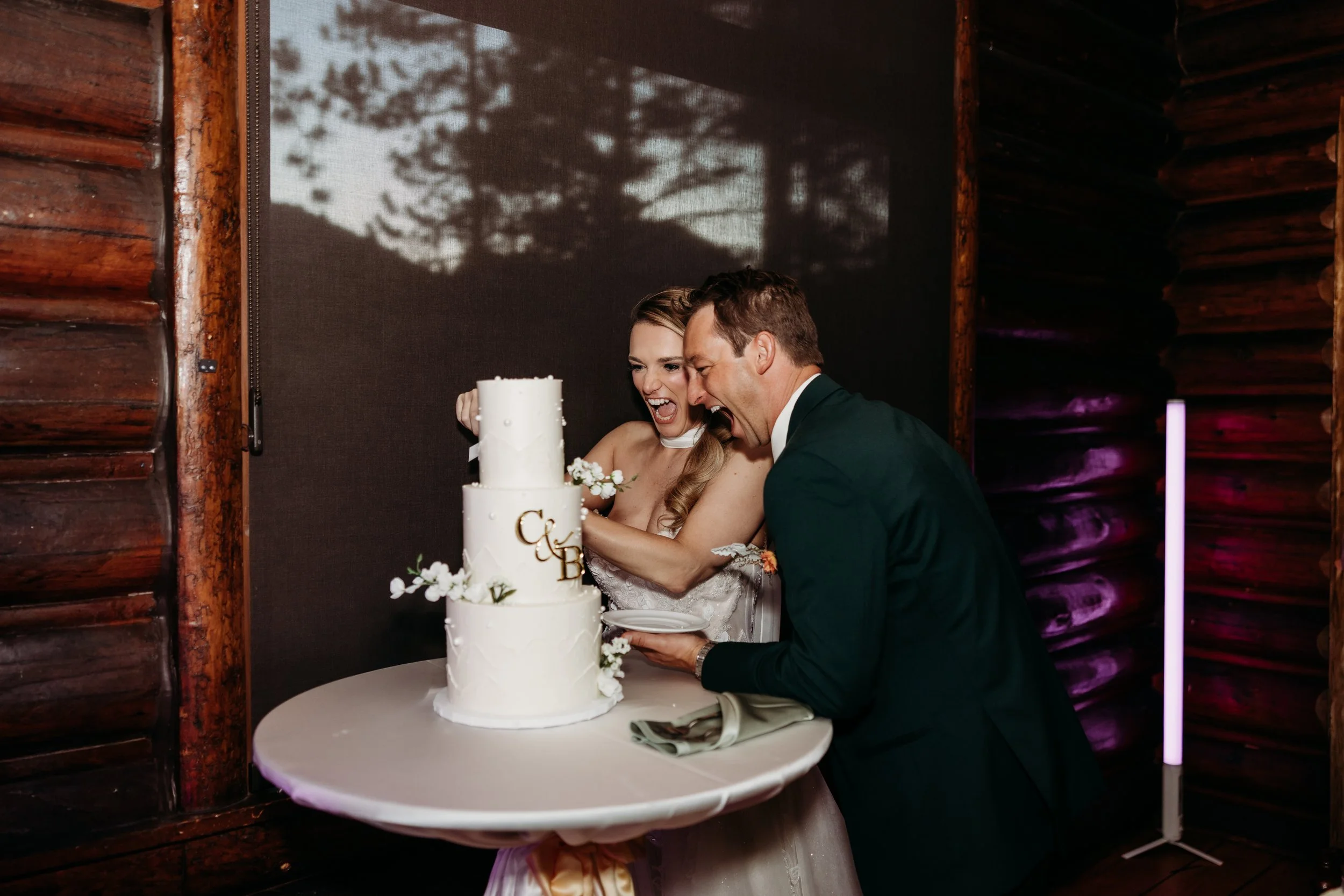Bride and groom cutting a cake.
