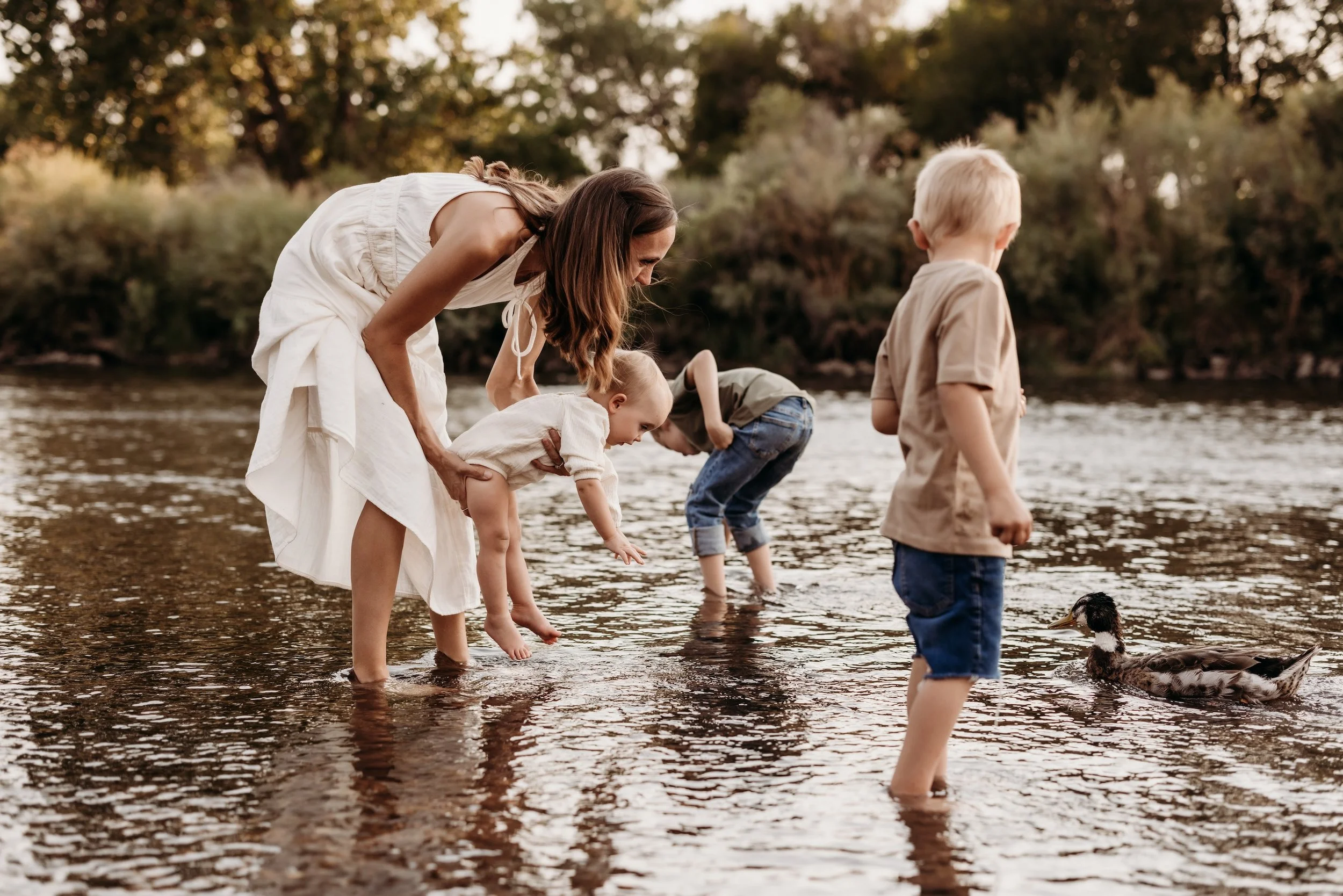 Woman and three children playing in a river in Colorado.