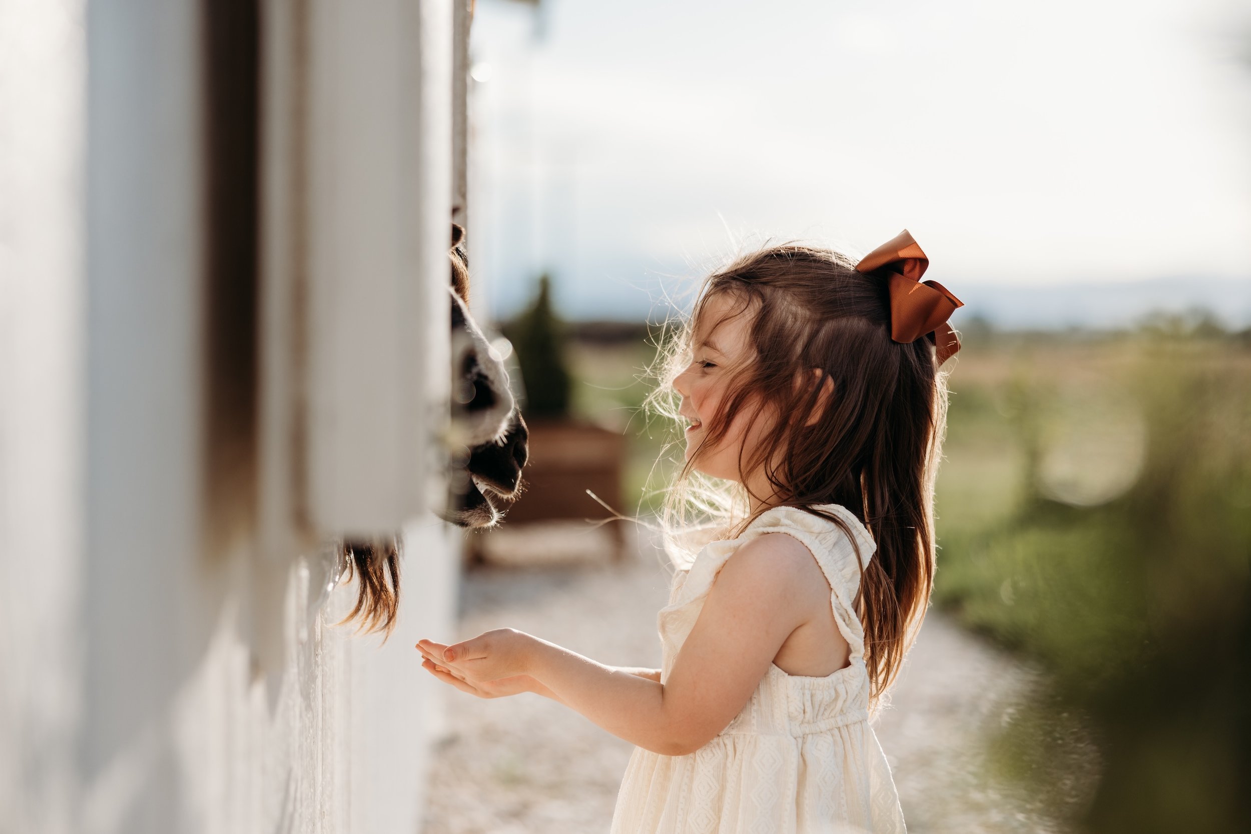 Girl feeding a horse in Brighton, Colorado.