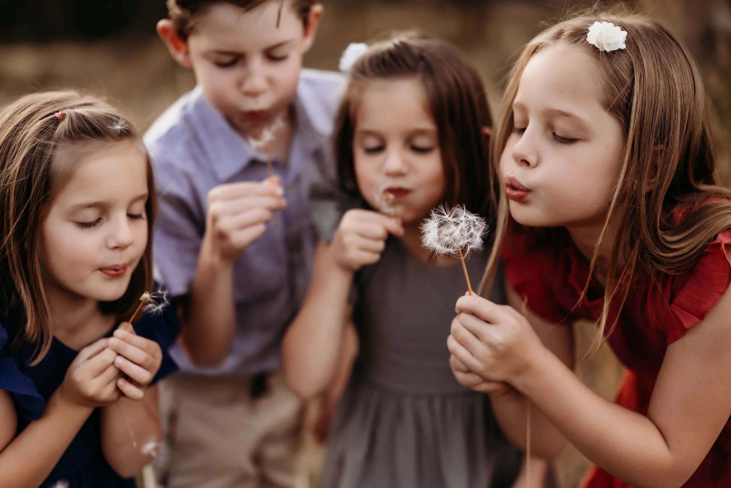 Four children blowing on dandelions.
