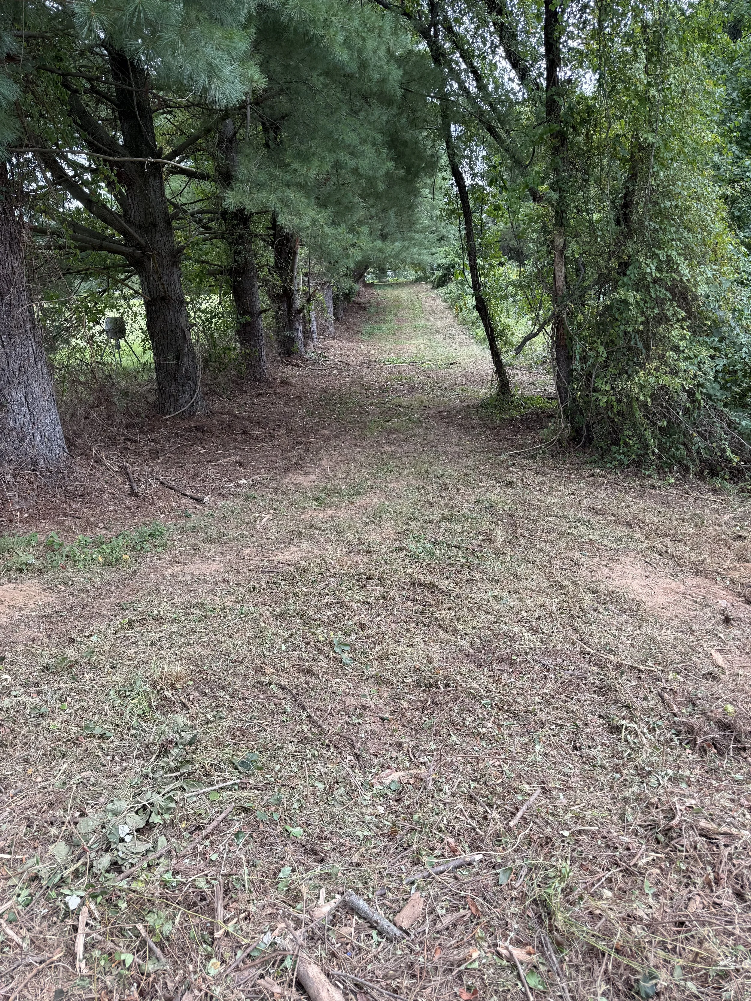 Cleared property line