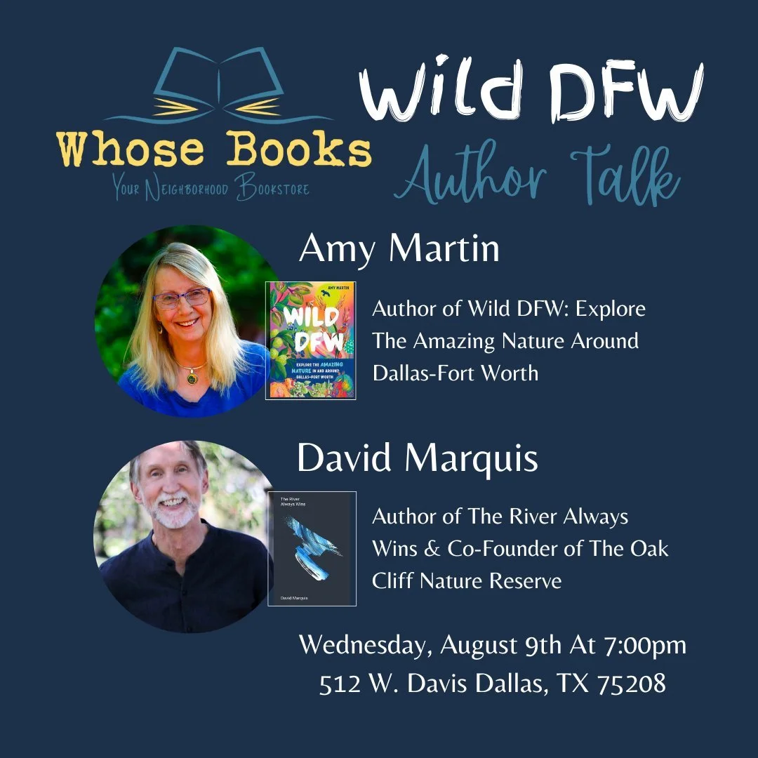 whose books author talk.jpeg