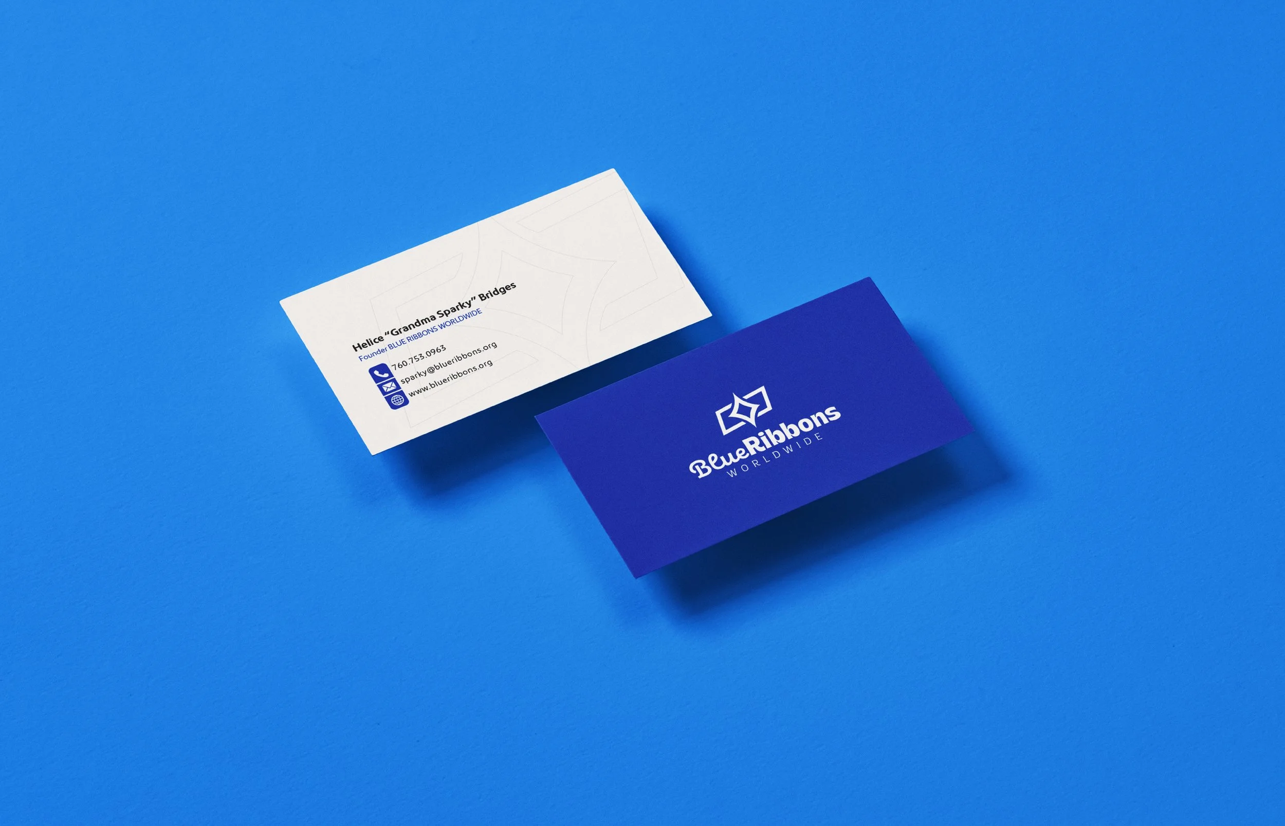 BlueRibbons_CaseStudy-06.jpg