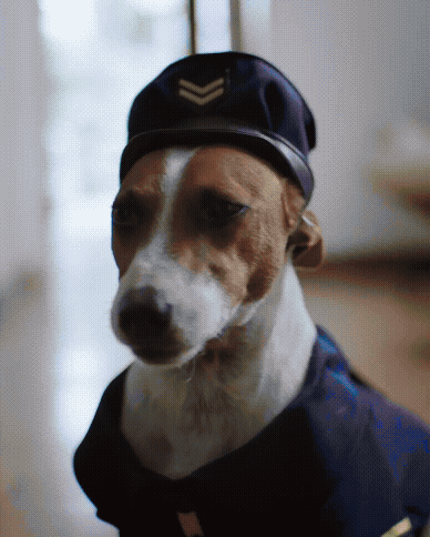 Untitled - July 16, 2026 at 11.34.49.gif