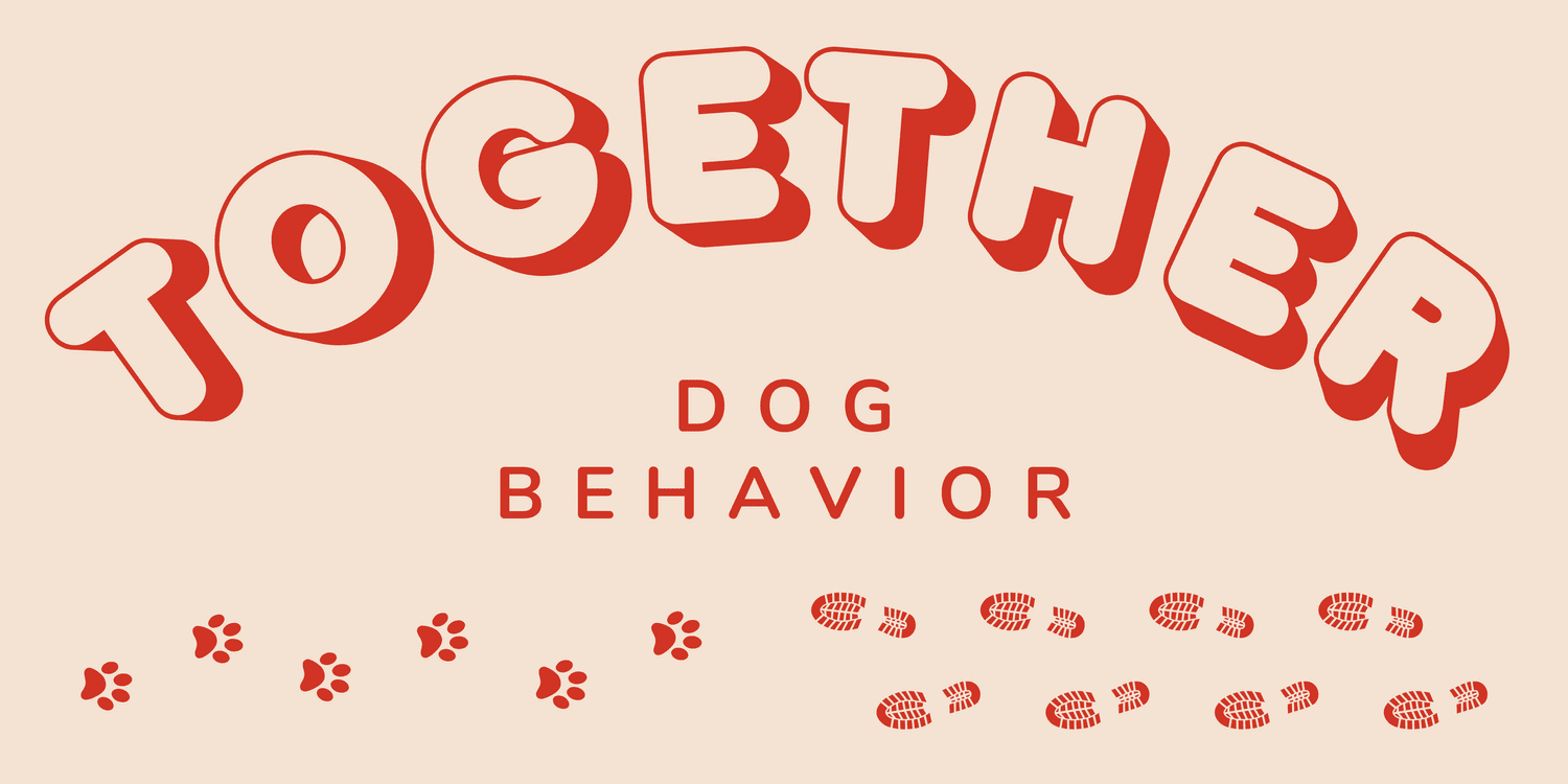 Together Dog Behavior