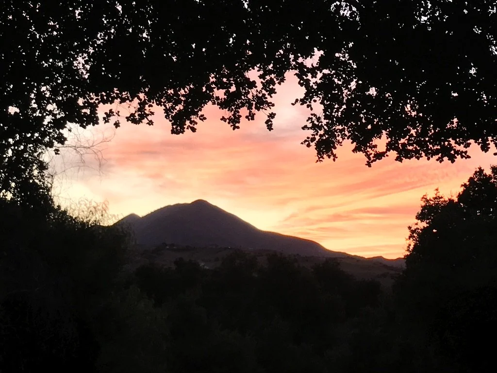 Sunset over a mountain, silhouetted trees in the foreground.