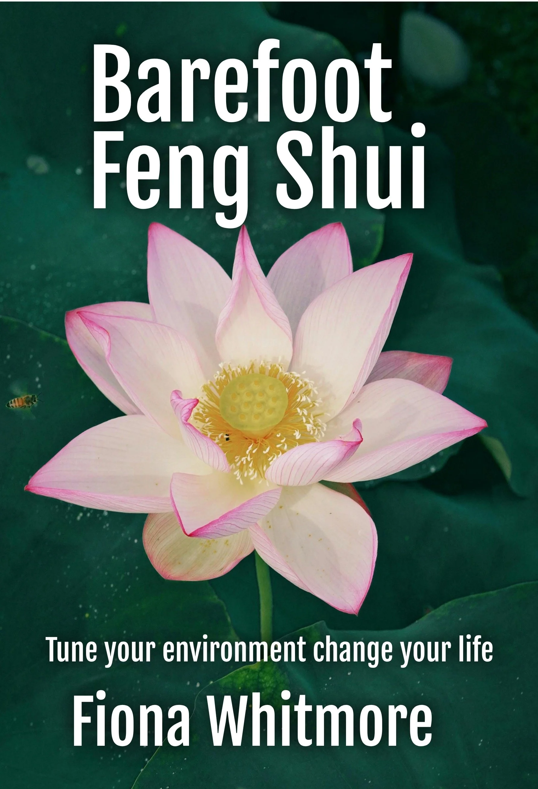 Barefoot Feng ShuiBookBrushImage-2026-7-15-16-26.jpeg