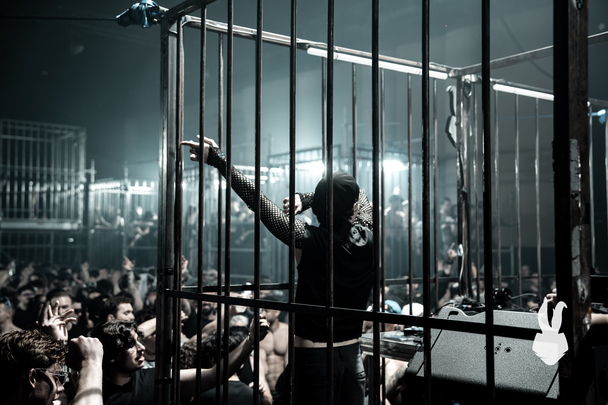 @qntnmrvll - KODZ - WML - 24.04.26-31.jpg