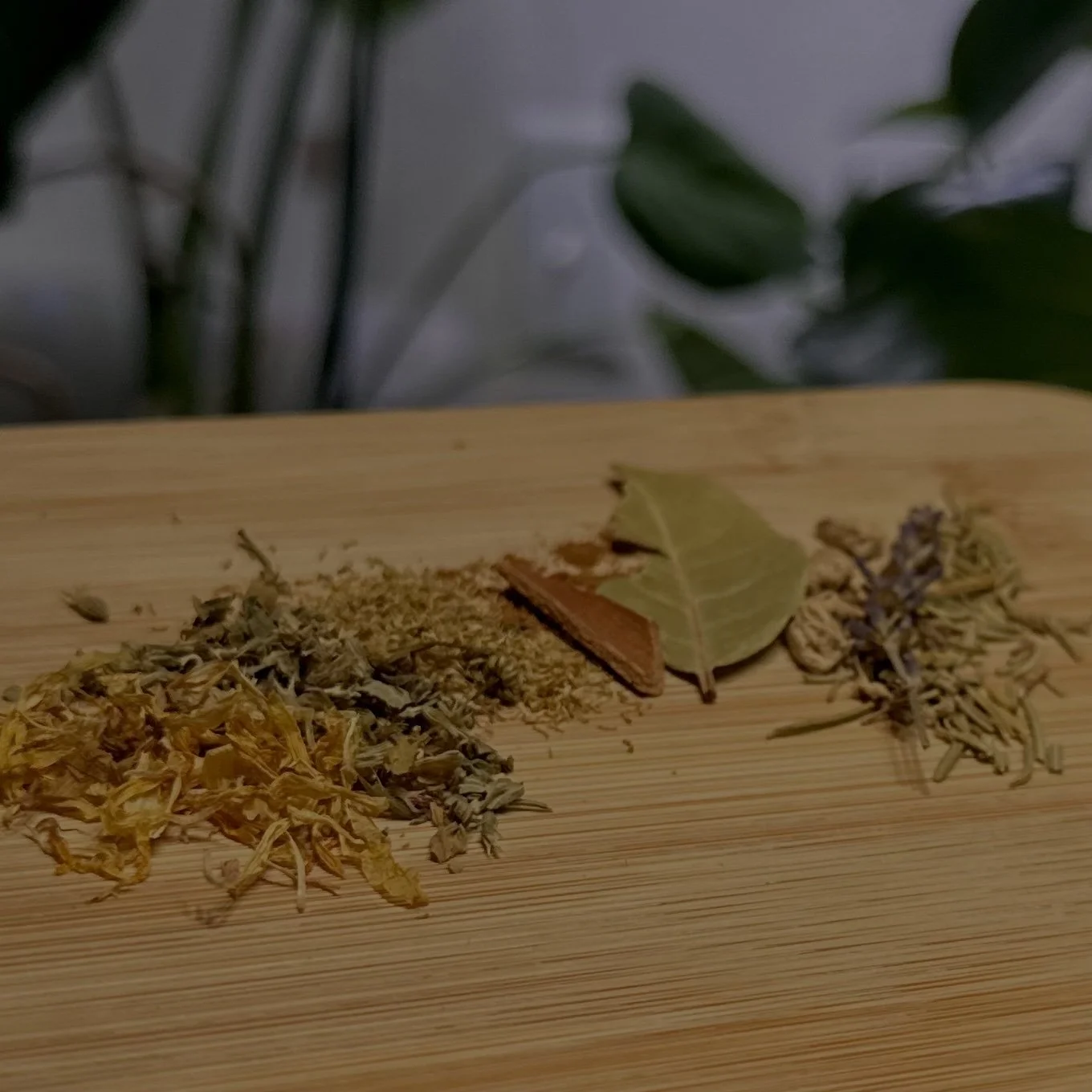 VISIBILITY OIL HERBS .jpg