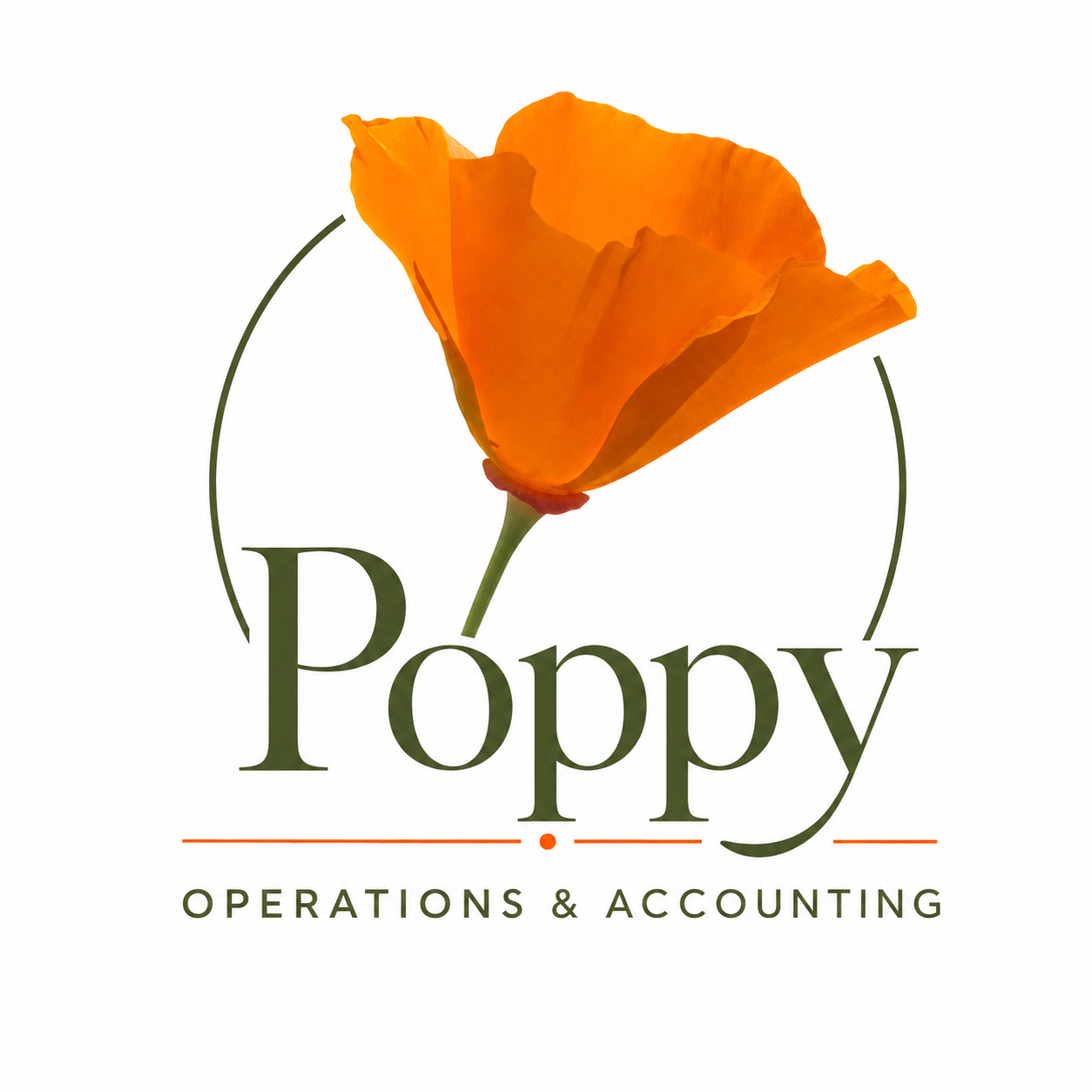 Operations &amp; Accounting Solutions for Growing Businesses
