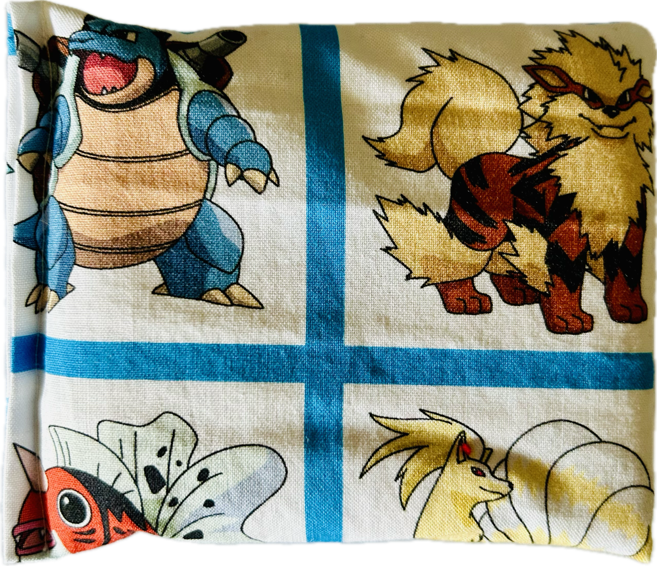 Pokemon with Blue Boo Boo Bag