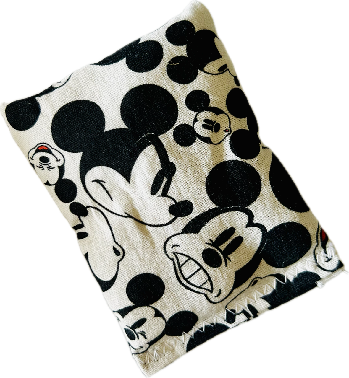 Mickey Mouse Boo Boo Bag