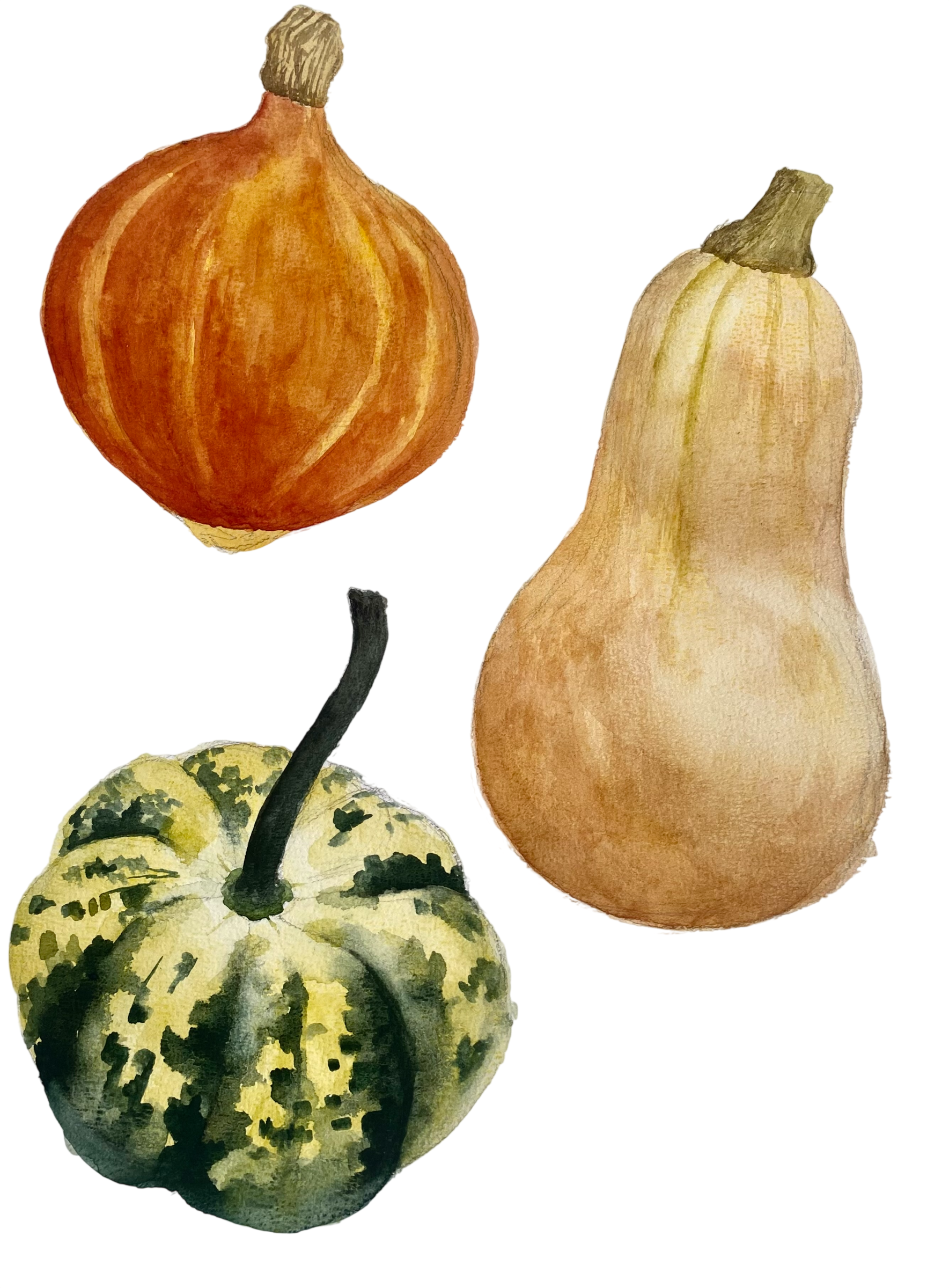 pumpkins-Photoroom.png